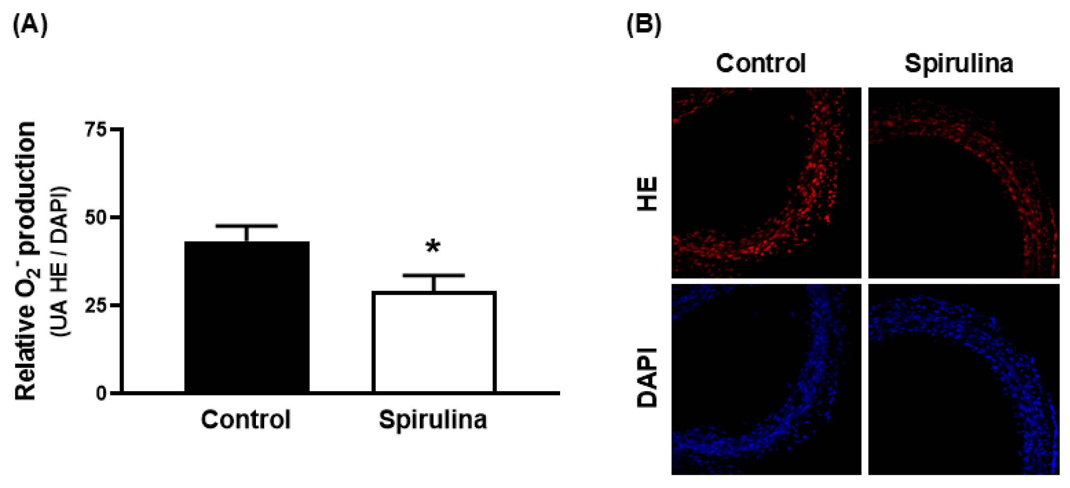 Marinedrugs 23 00395 g007 Marinedrugs 23 00395 g007