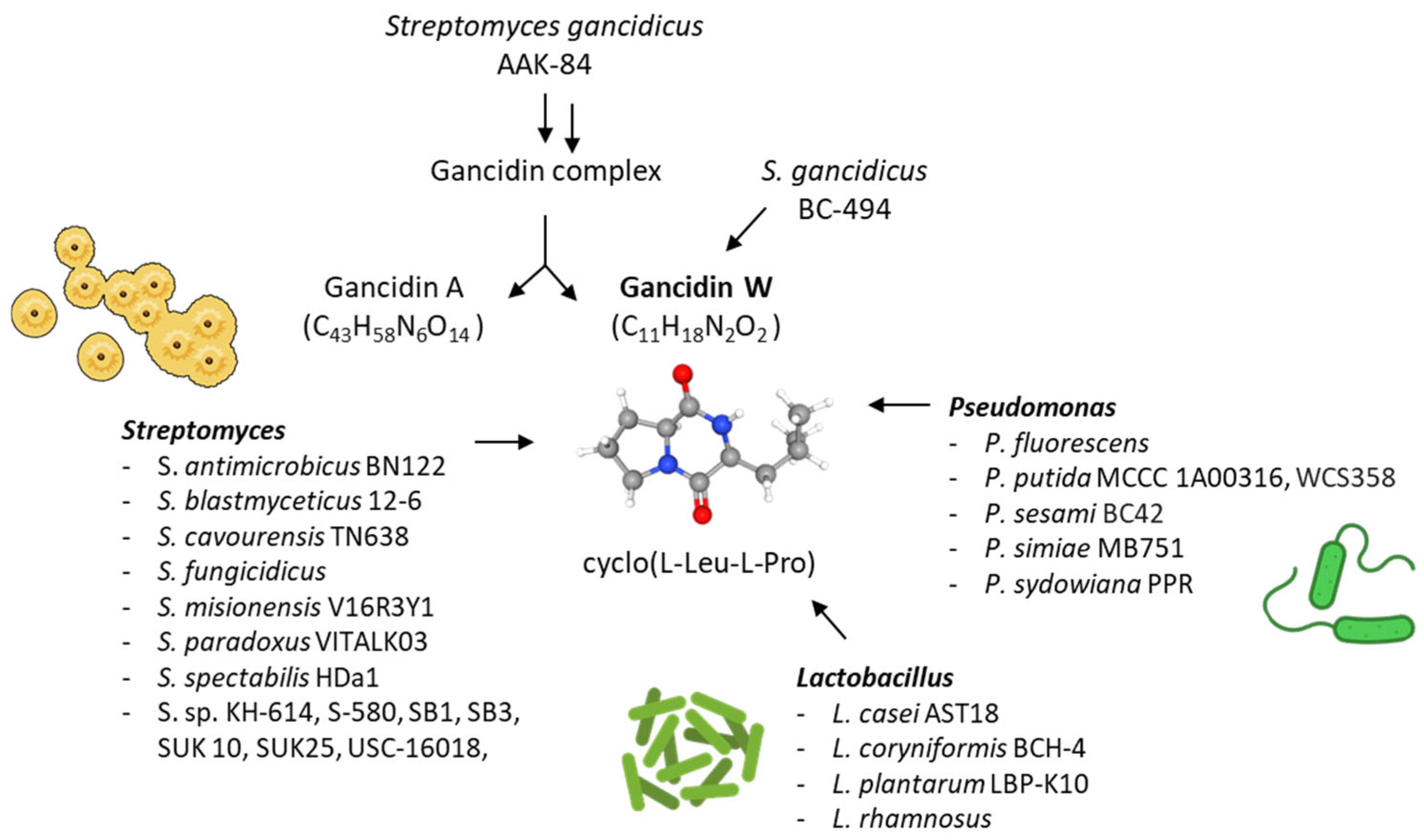 Marinedrugs 23 00397 g003