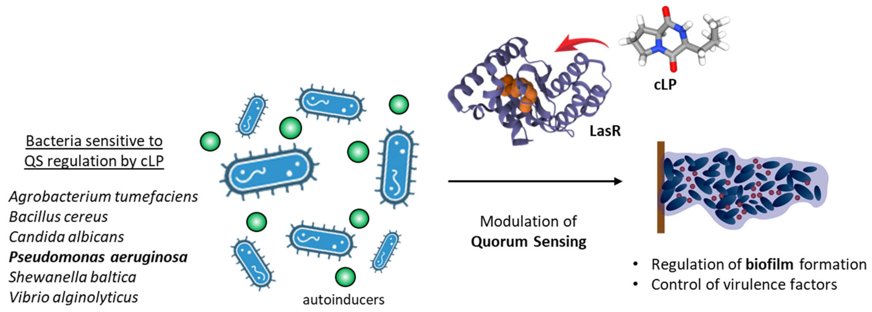 Marinedrugs 23 00397 g004