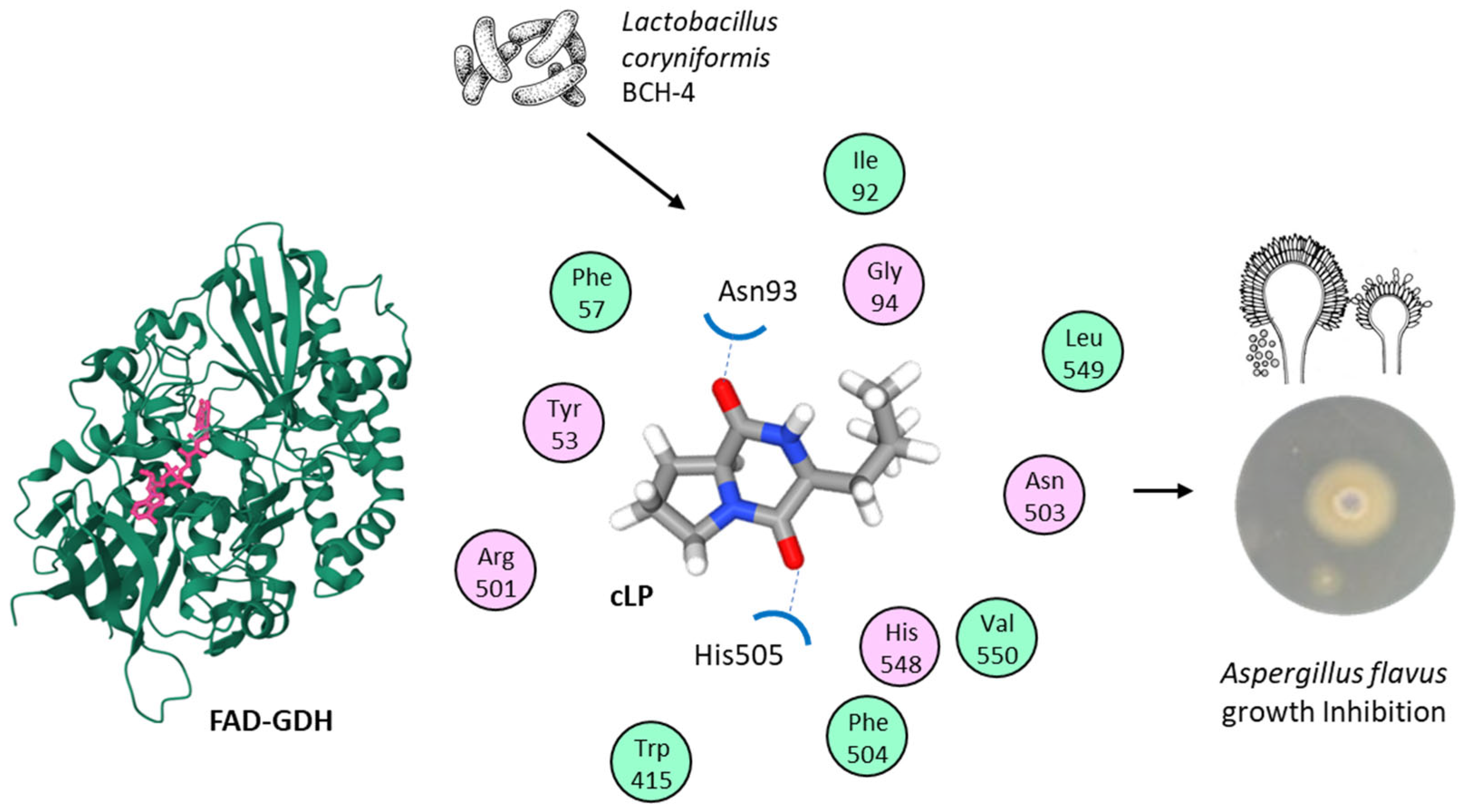 Marinedrugs 23 00397 g005