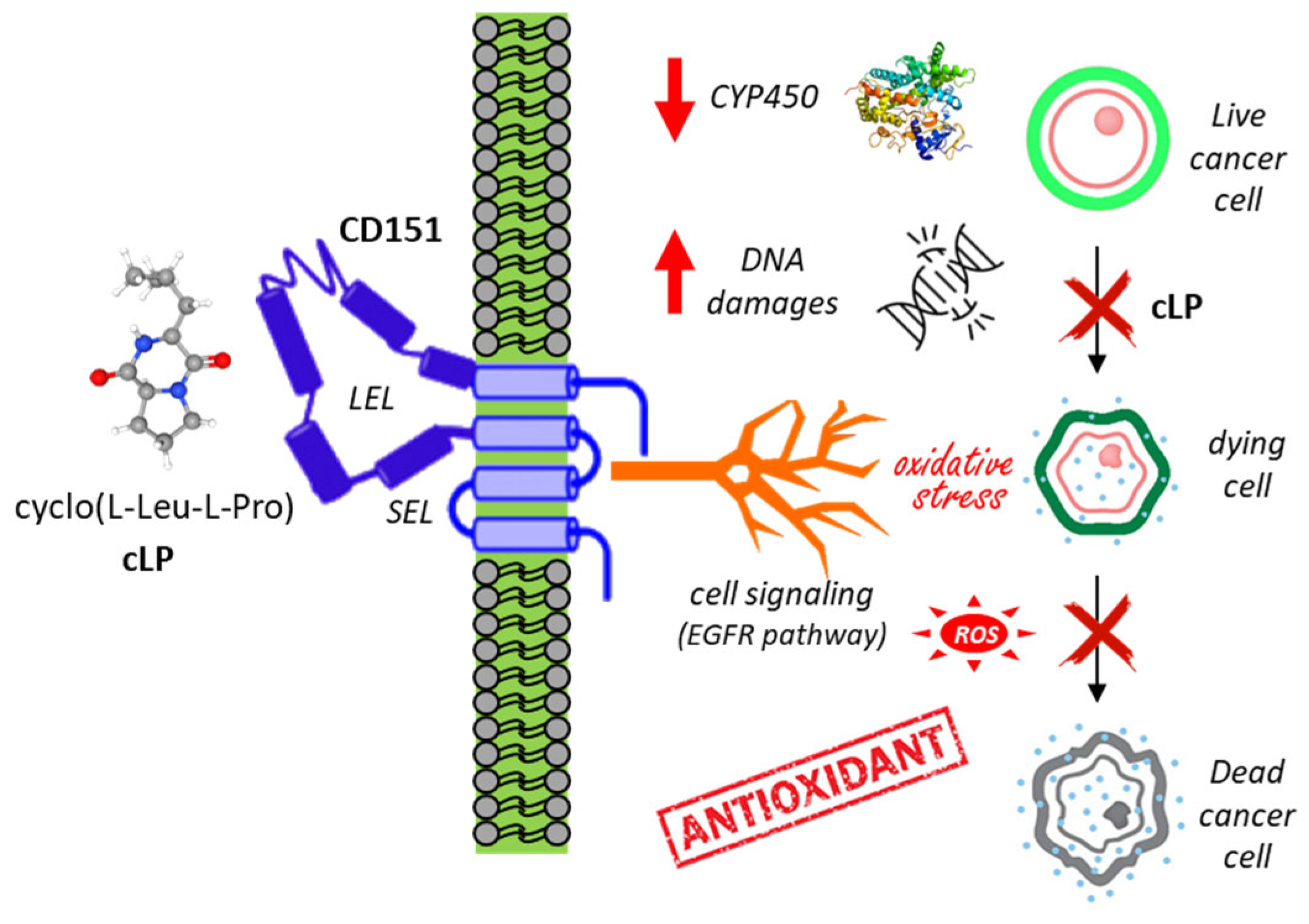 Marinedrugs 23 00397 g006