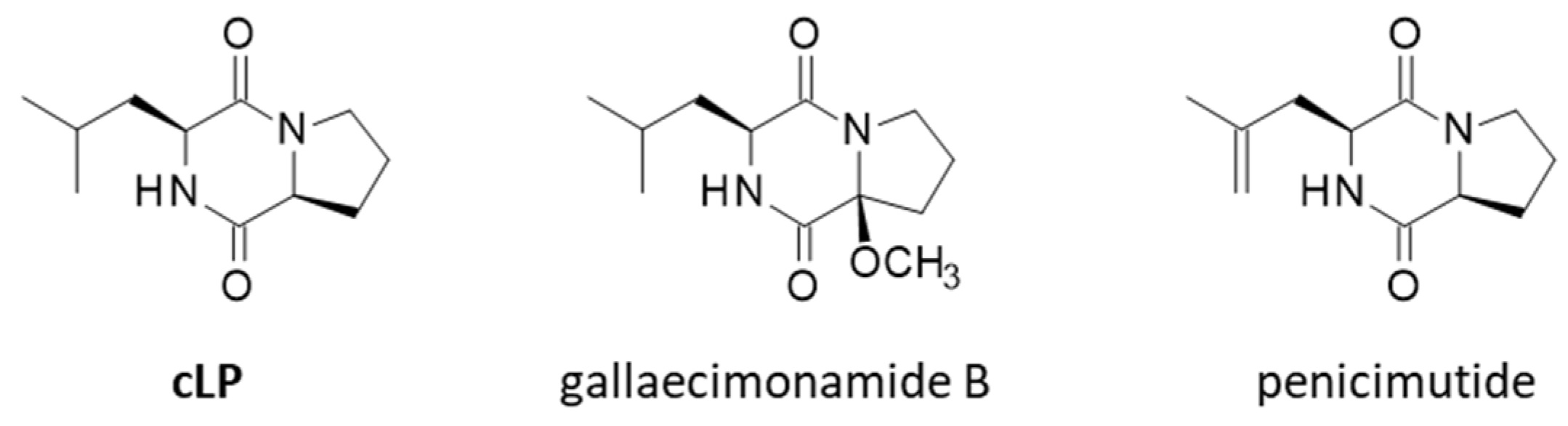 Marinedrugs 23 00397 g007