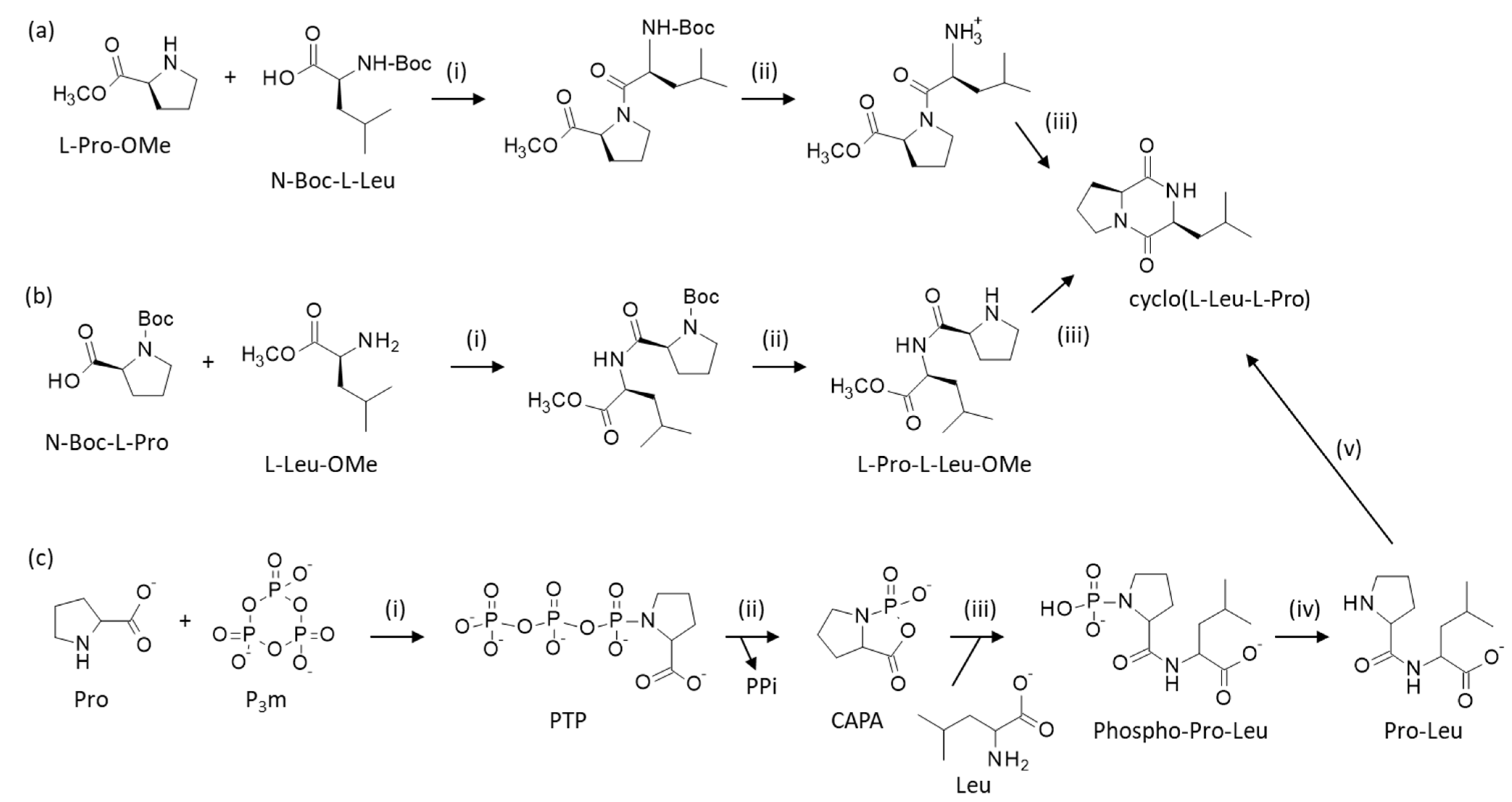 Marinedrugs 23 00397 sch001