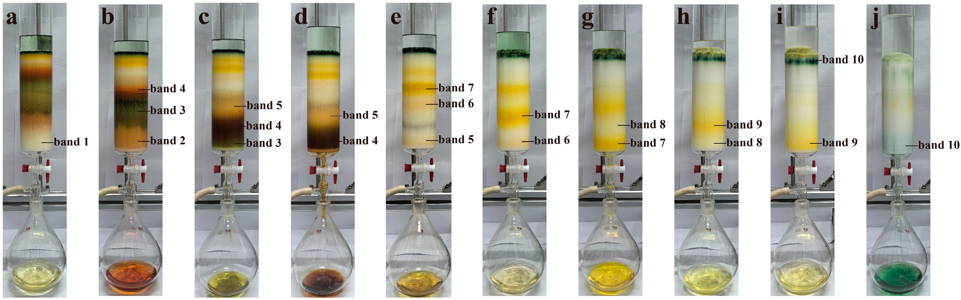 Marinedrugs 23 00405 g002 Marinedrugs 23 00405 g002