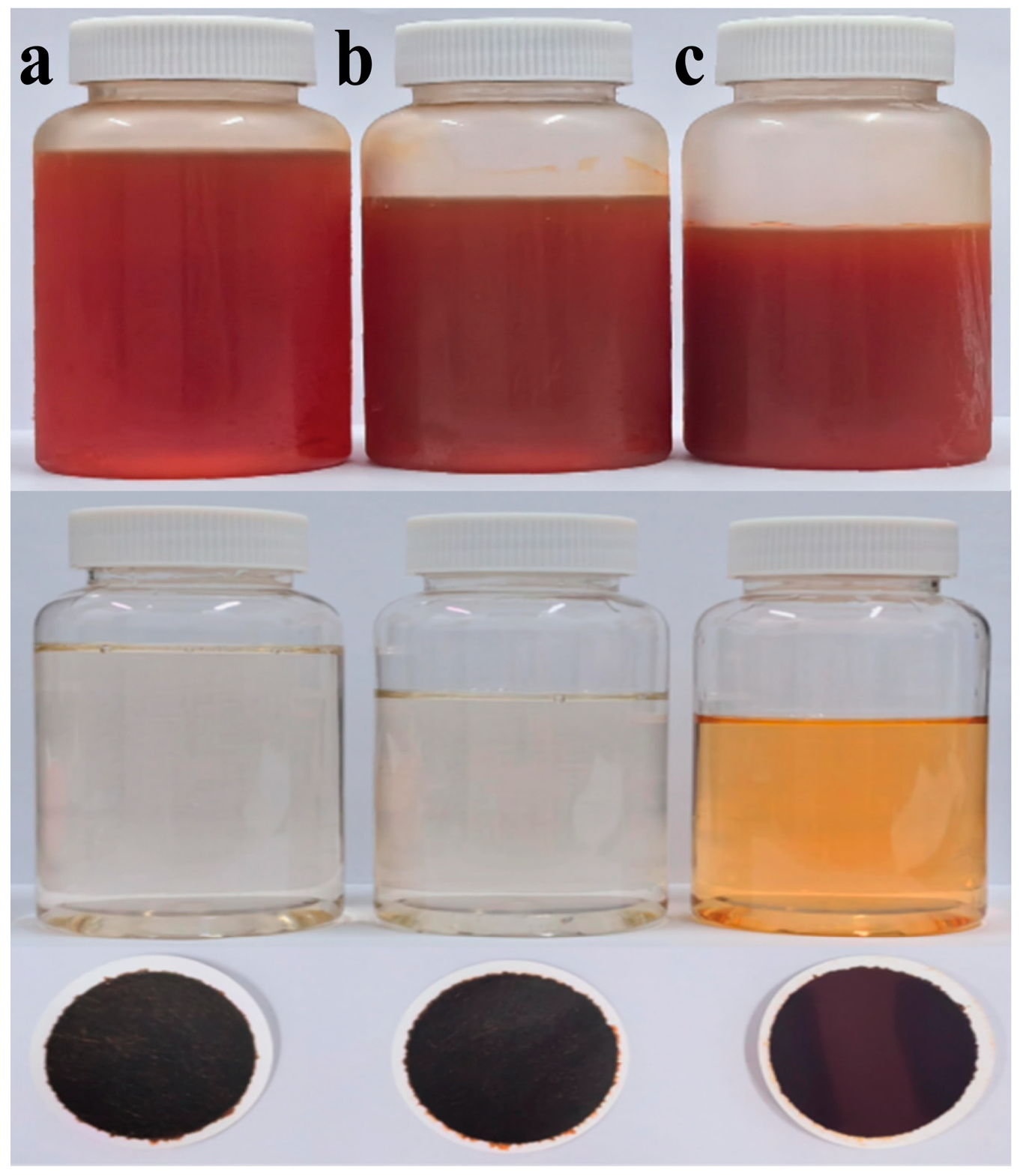 Marinedrugs 23 00405 g006 Marinedrugs 23 00405 g006