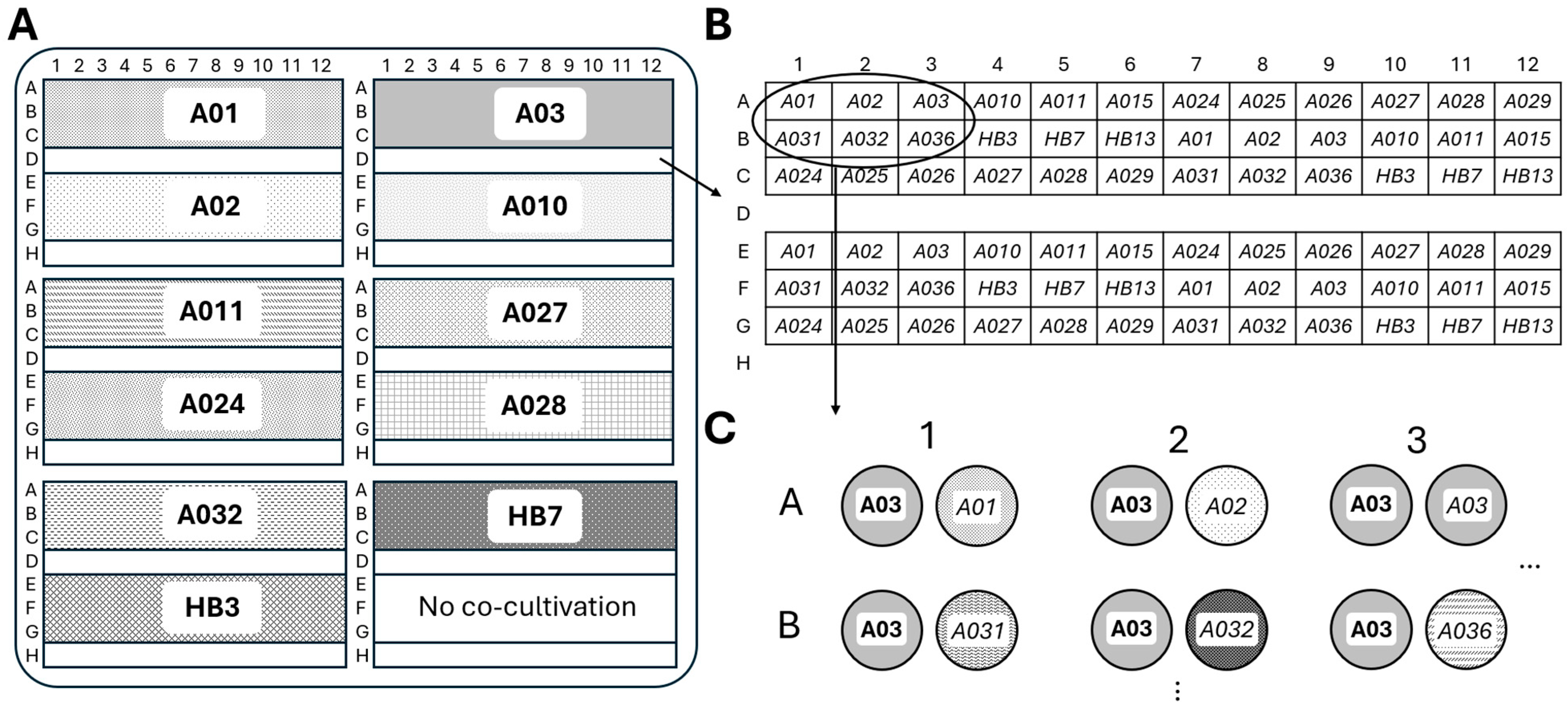 Marinedrugs 23 00408 g006 Marinedrugs 23 00408 g006