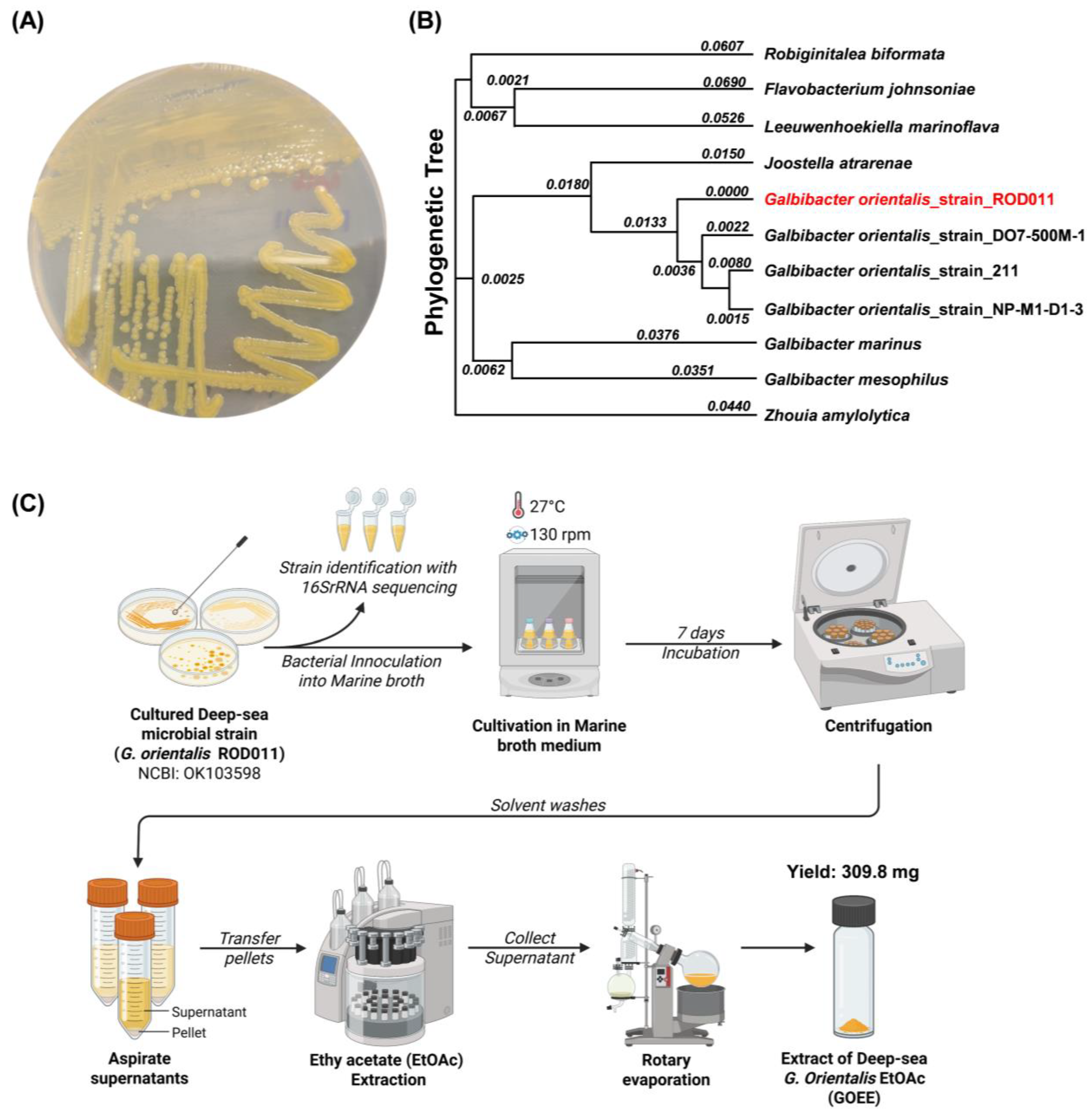 Marinedrugs 23 00409 g002