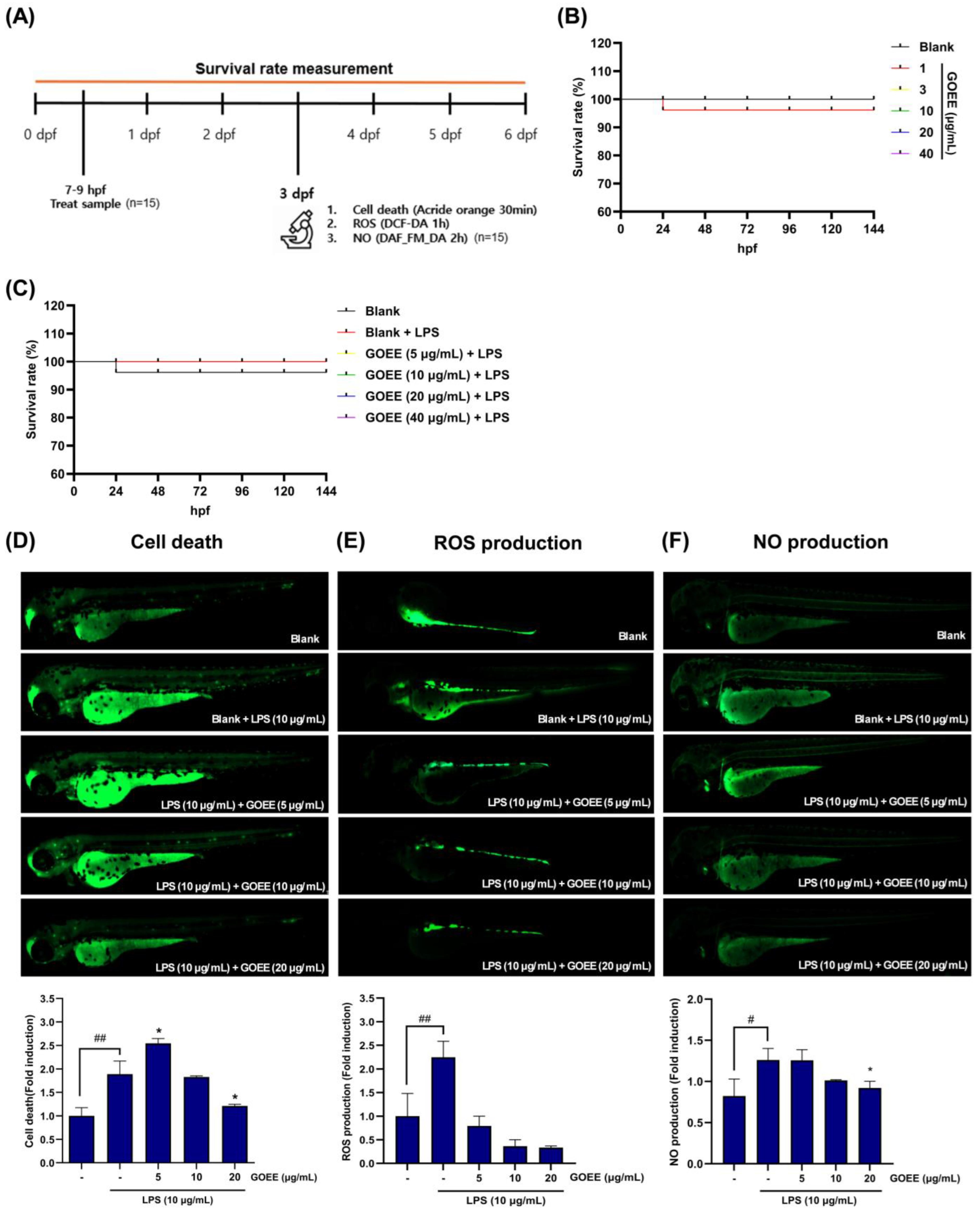 Marinedrugs 23 00409 g004