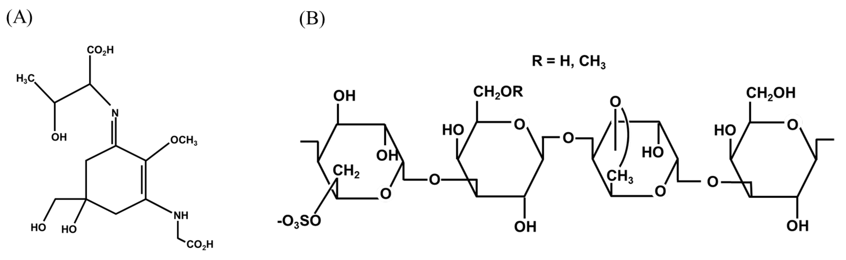 Marinedrugs 23 00415 g001 Marinedrugs 23 00415 g001