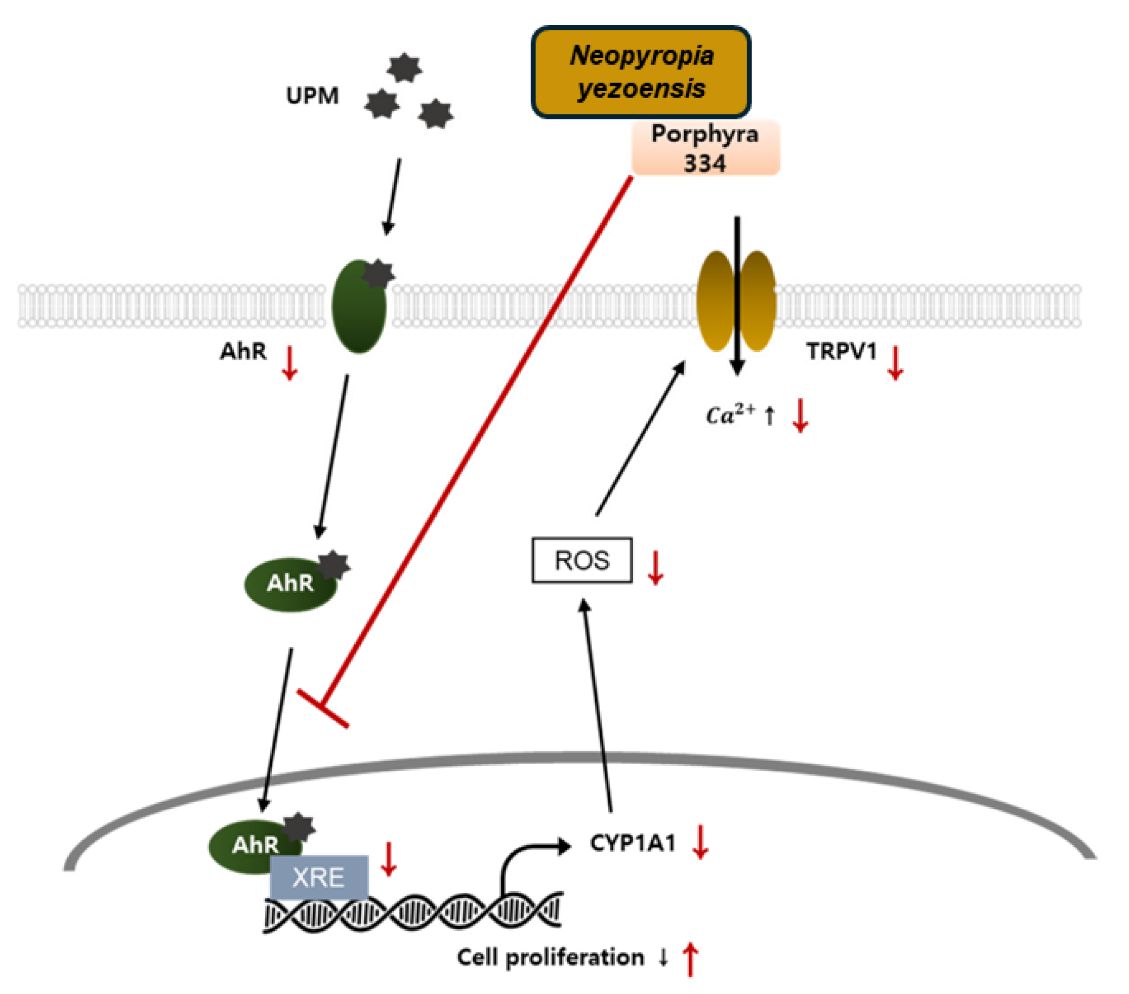 Marinedrugs 23 00415 g004 Marinedrugs 23 00415 g004