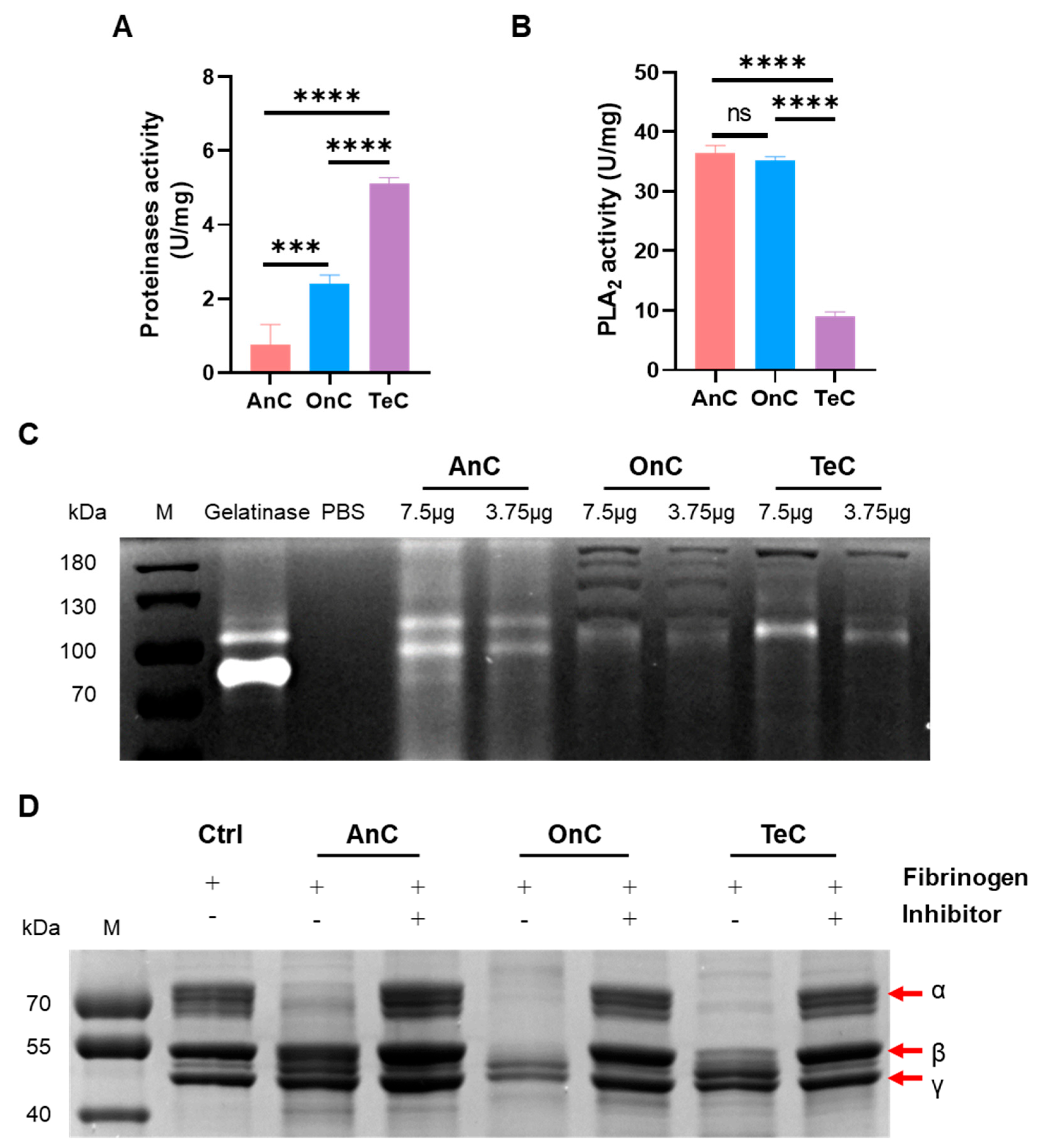 Marinedrugs 23 00421 g007 Marinedrugs 23 00421 g007
