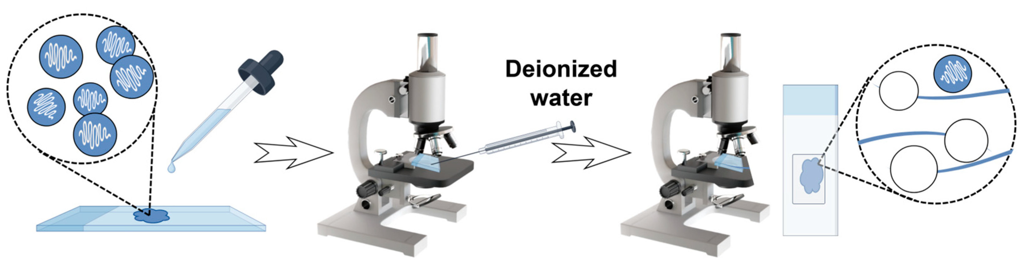 Marinedrugs 23 00421 g012 Marinedrugs 23 00421 g012