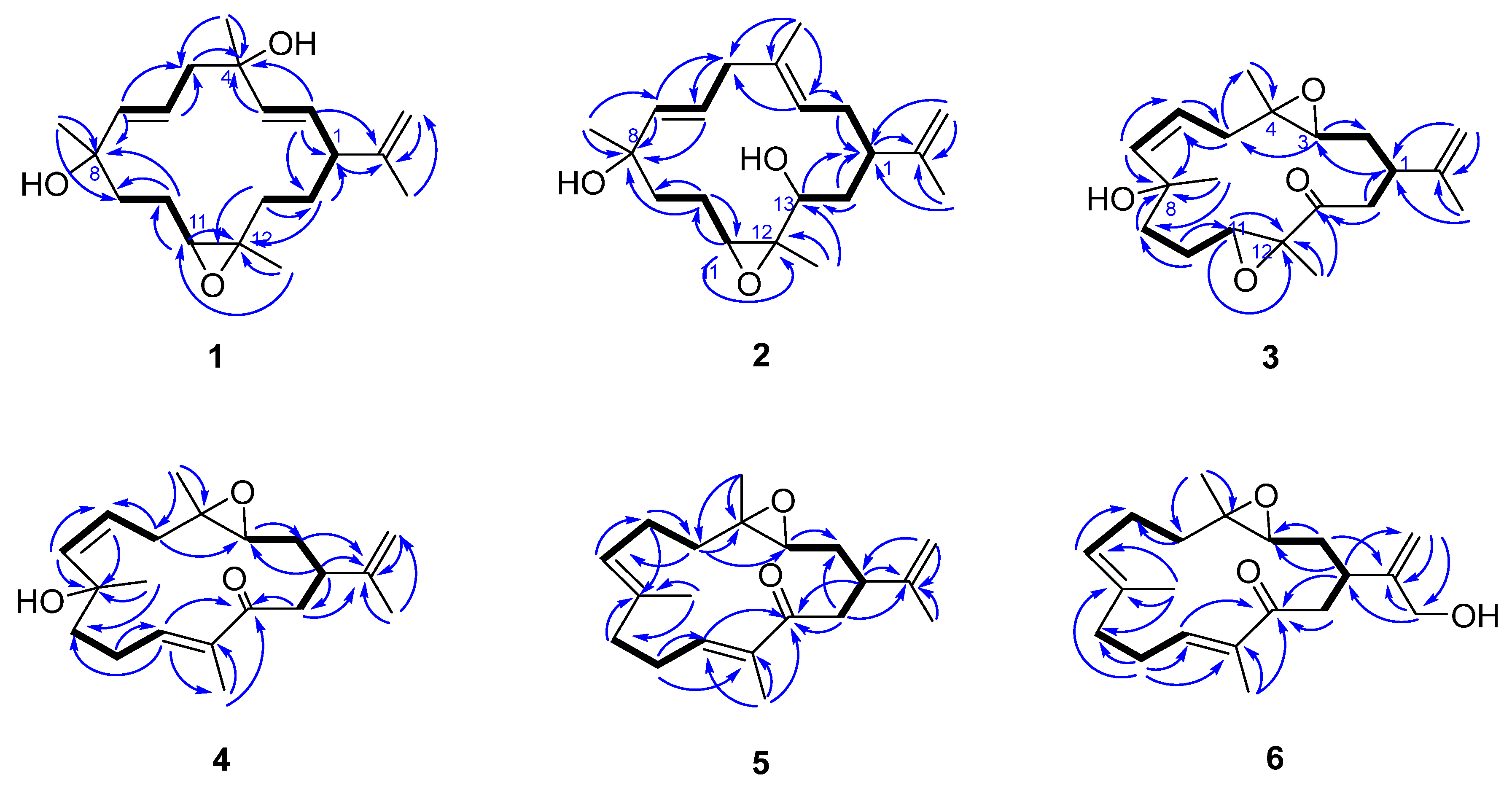 Marinedrugs 23 00422 g002 Marinedrugs 23 00422 g002