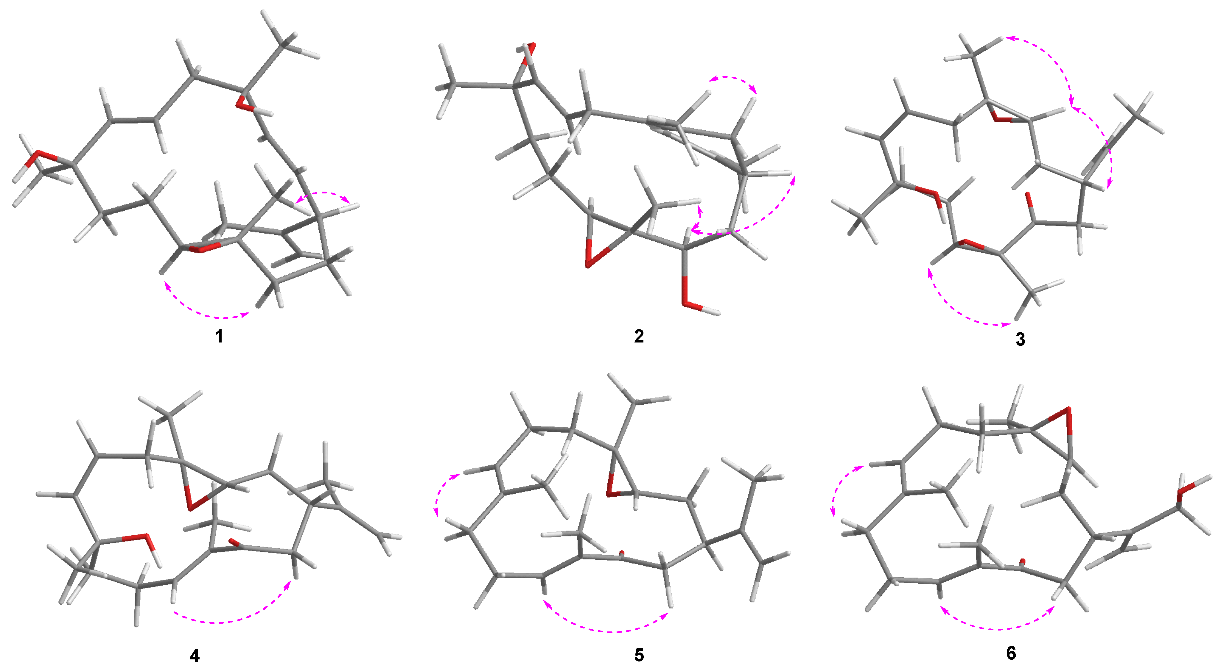 Marinedrugs 23 00422 g003 Marinedrugs 23 00422 g003