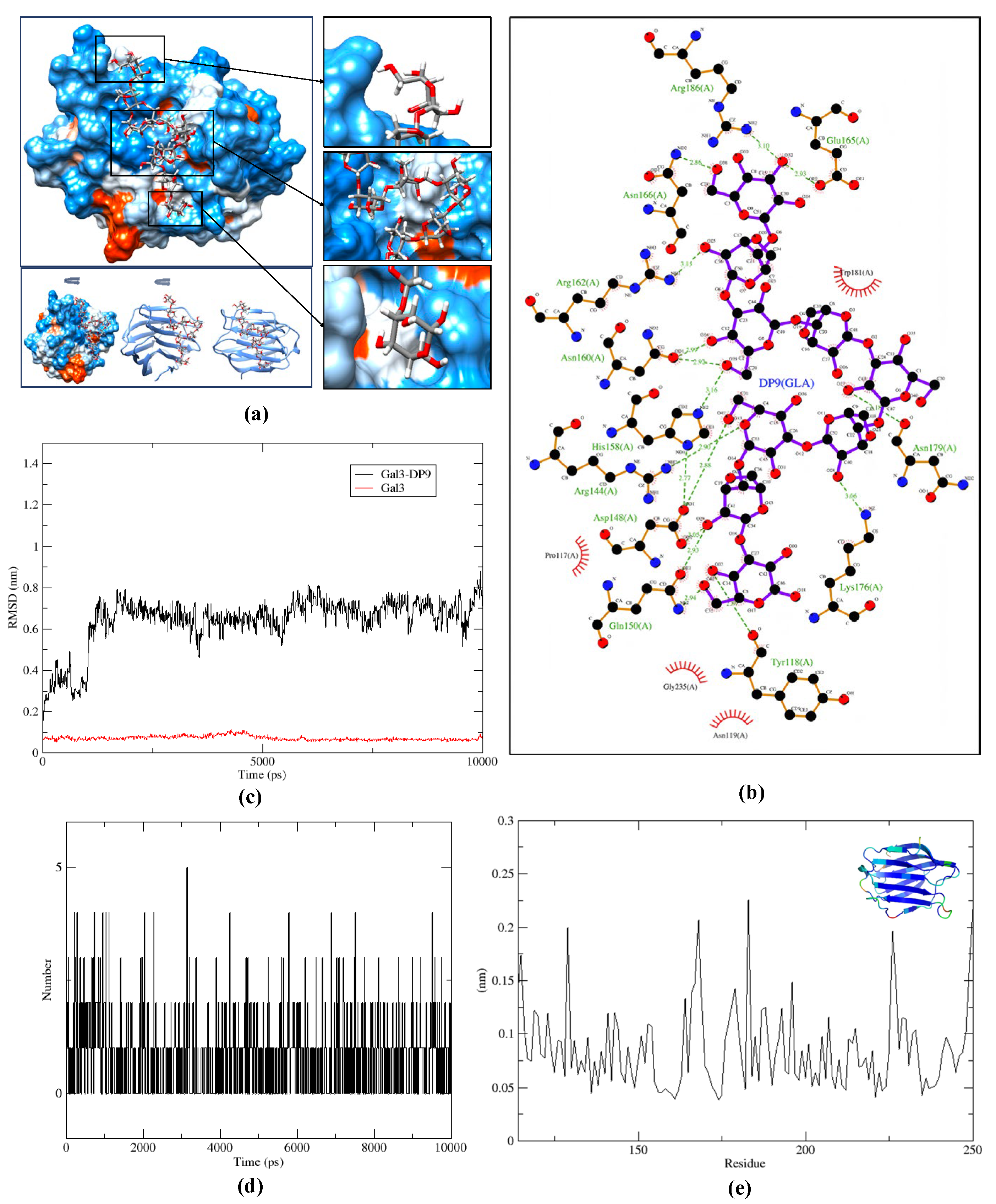 Marinedrugs 23 00423 g006 Marinedrugs 23 00423 g006