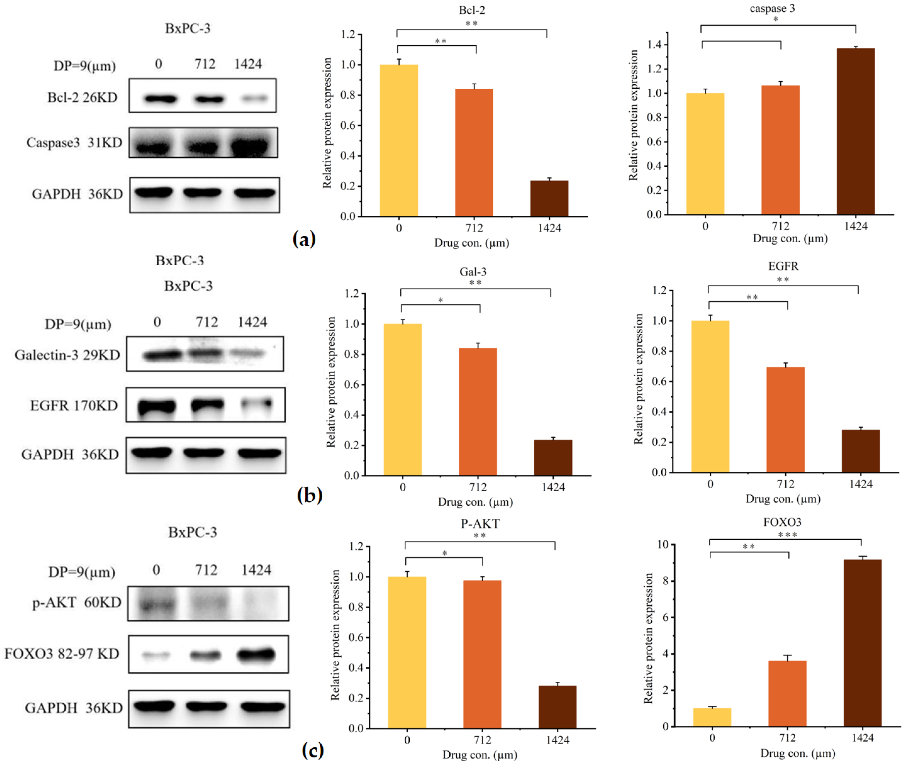 Marinedrugs 23 00423 g008 Marinedrugs 23 00423 g008