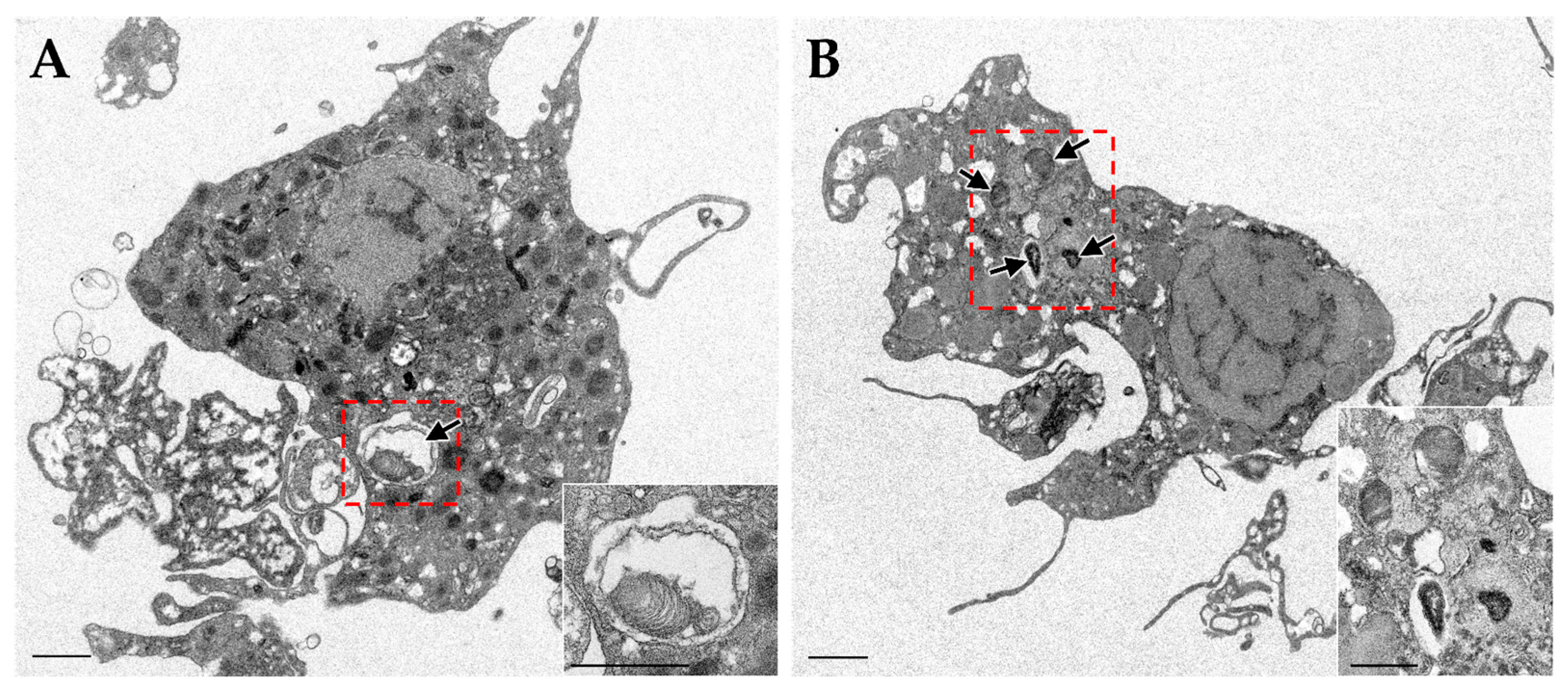 Marinedrugs 23 00425 g002