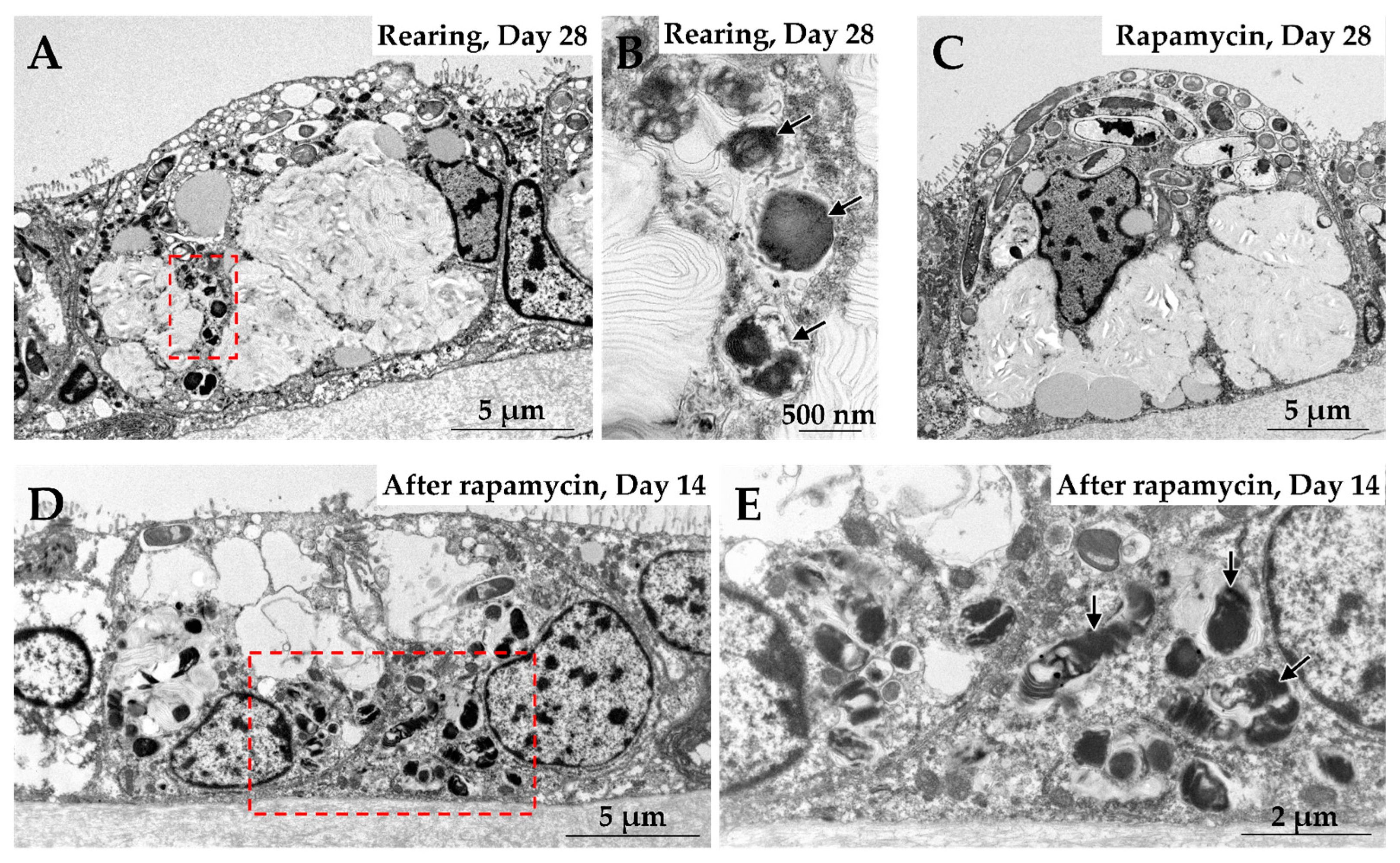 Marinedrugs 23 00425 g003