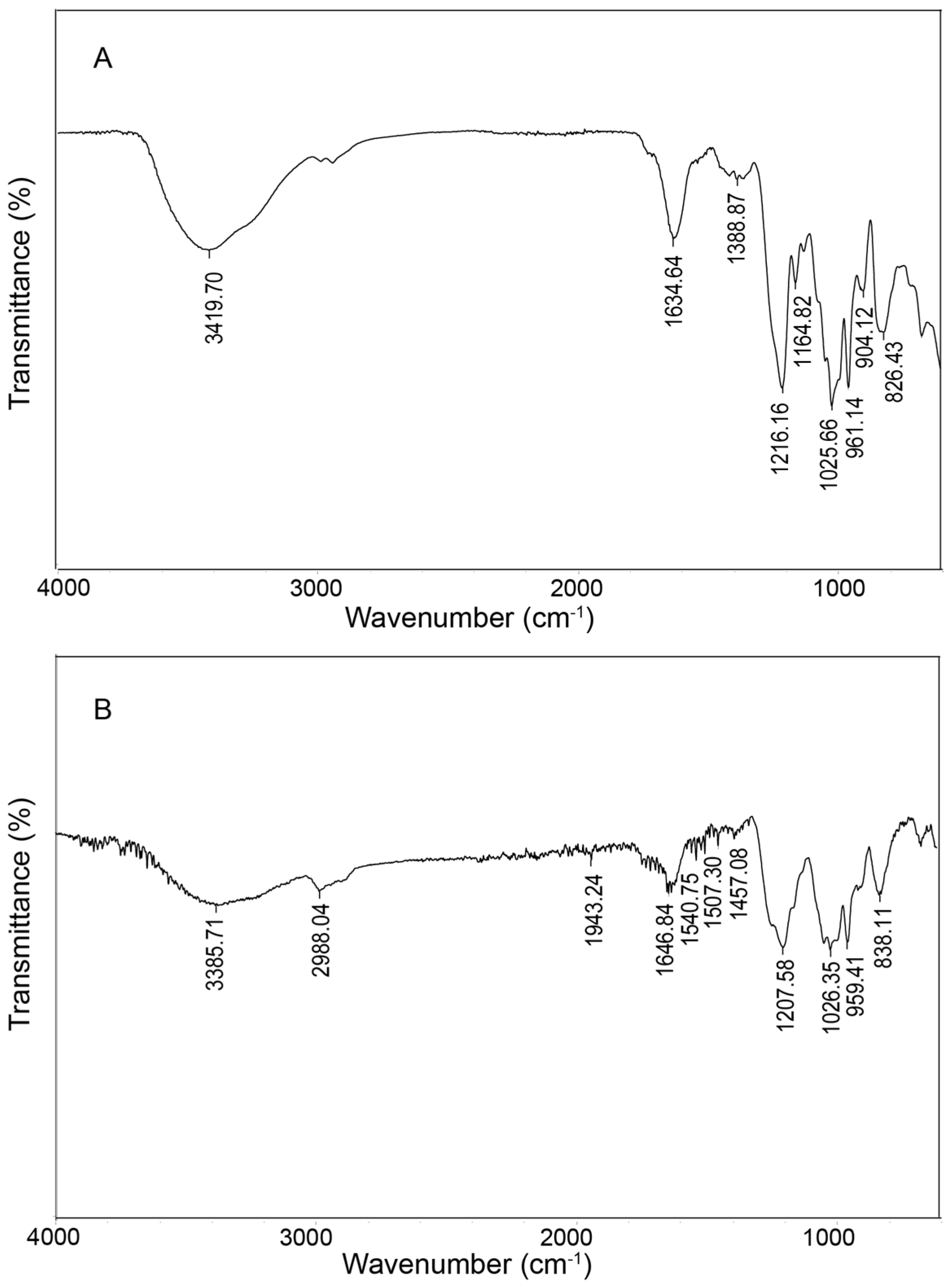 Marinedrugs 23 00426 g002 Marinedrugs 23 00426 g002