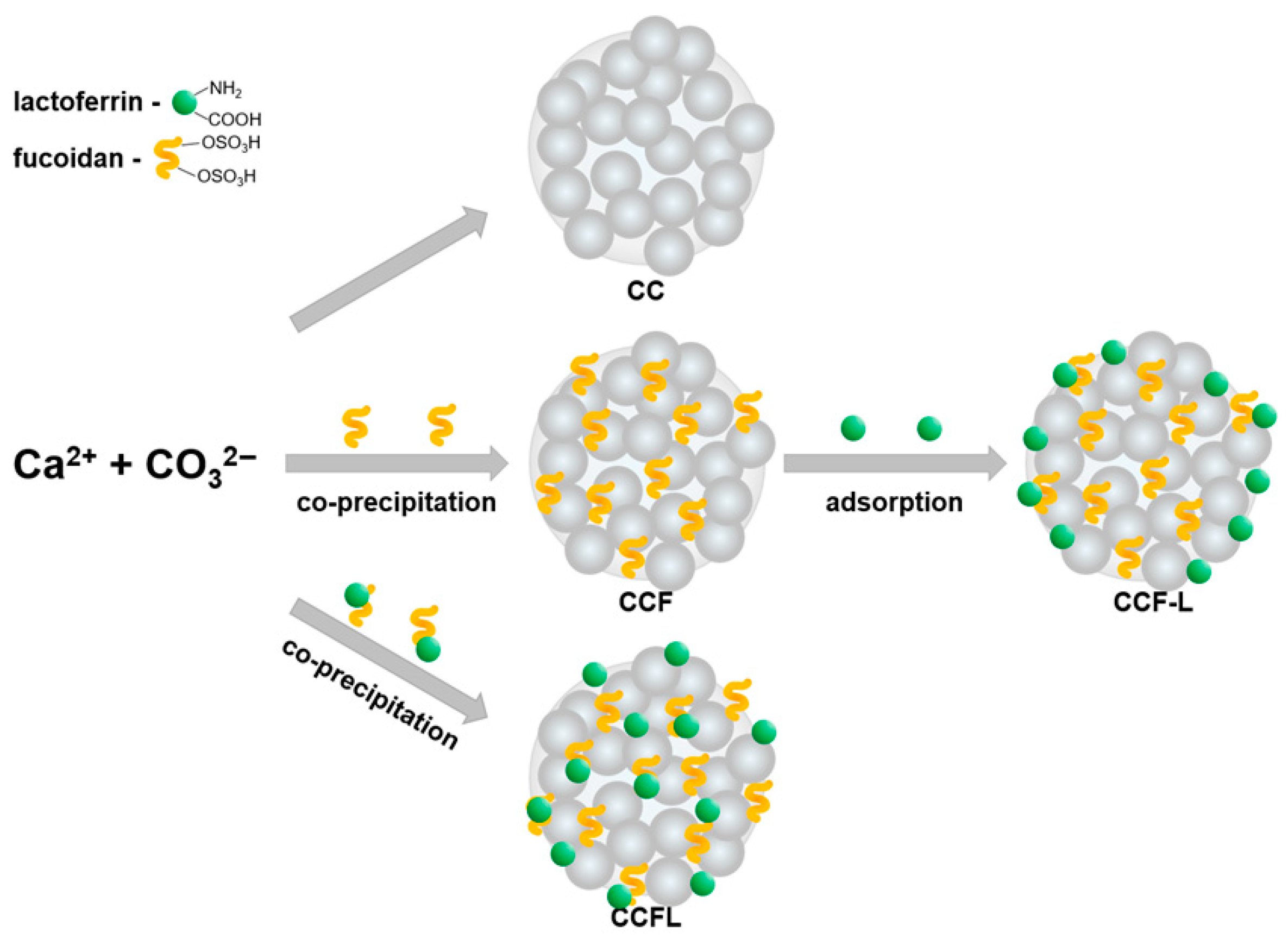 Marinedrugs 23 00428 g002