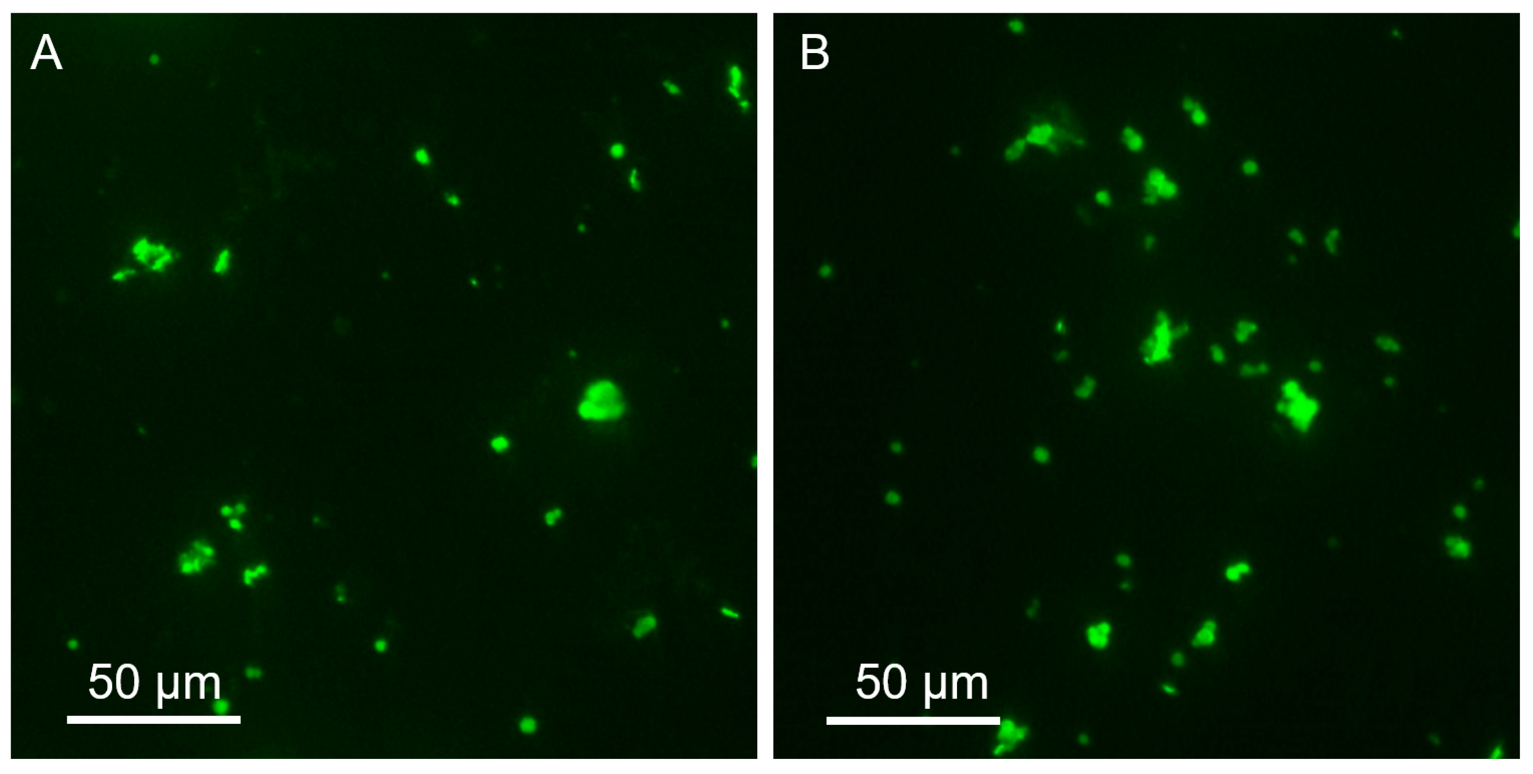 Marinedrugs 23 00428 g005