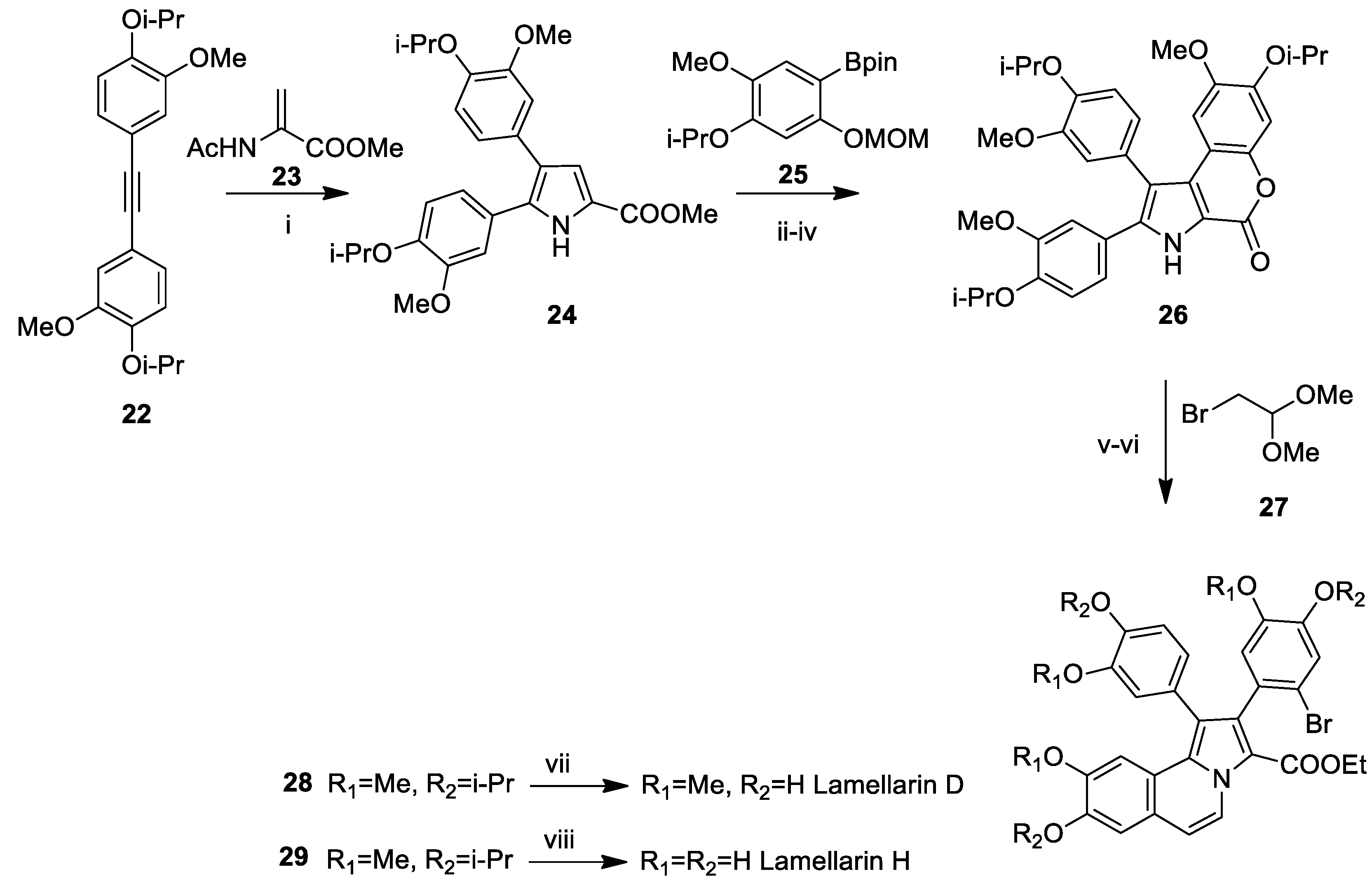 Marinedrugs 23 00430 sch004 Marinedrugs 23 00430 sch004