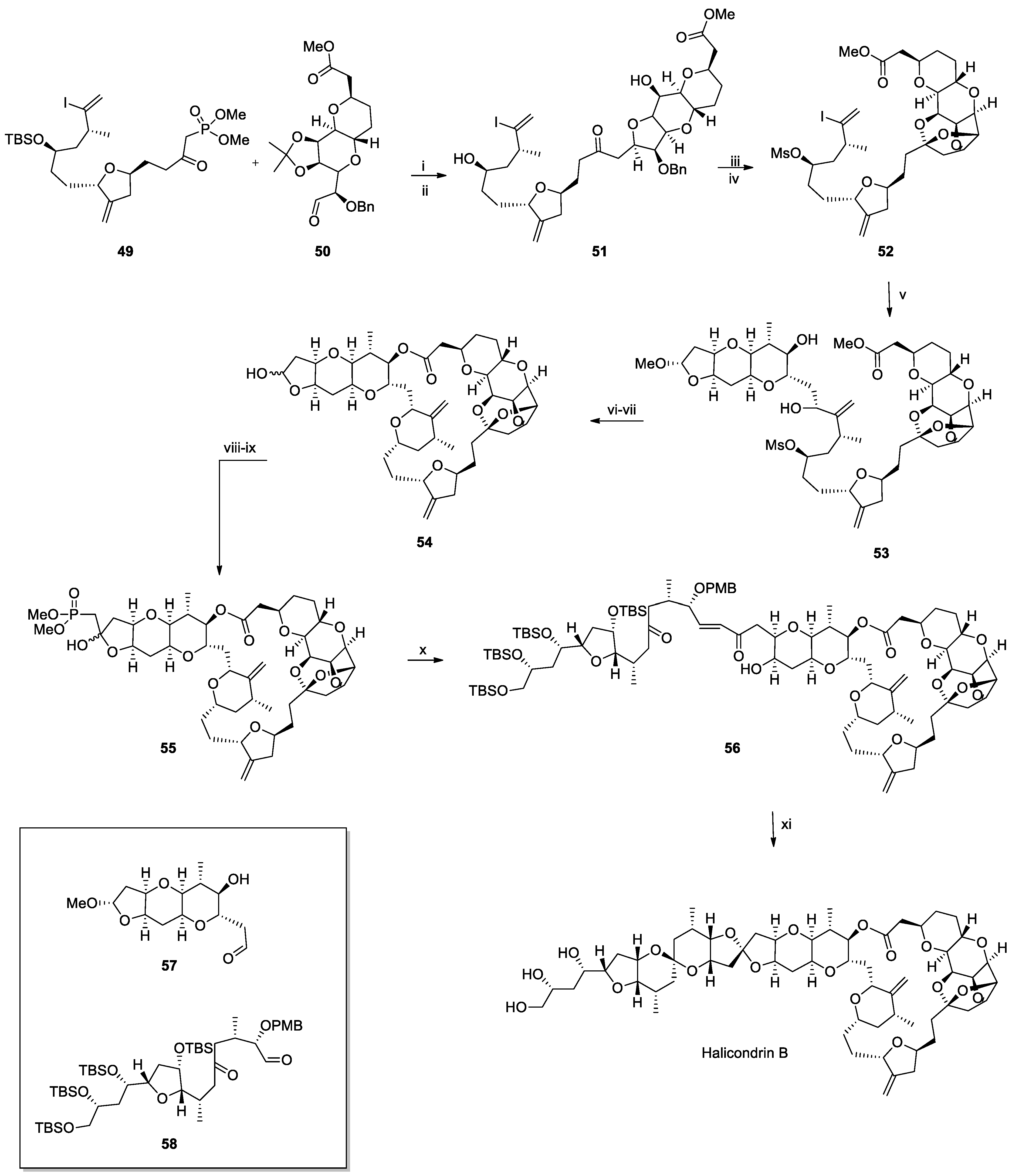 Marinedrugs 23 00430 sch008 Marinedrugs 23 00430 sch008