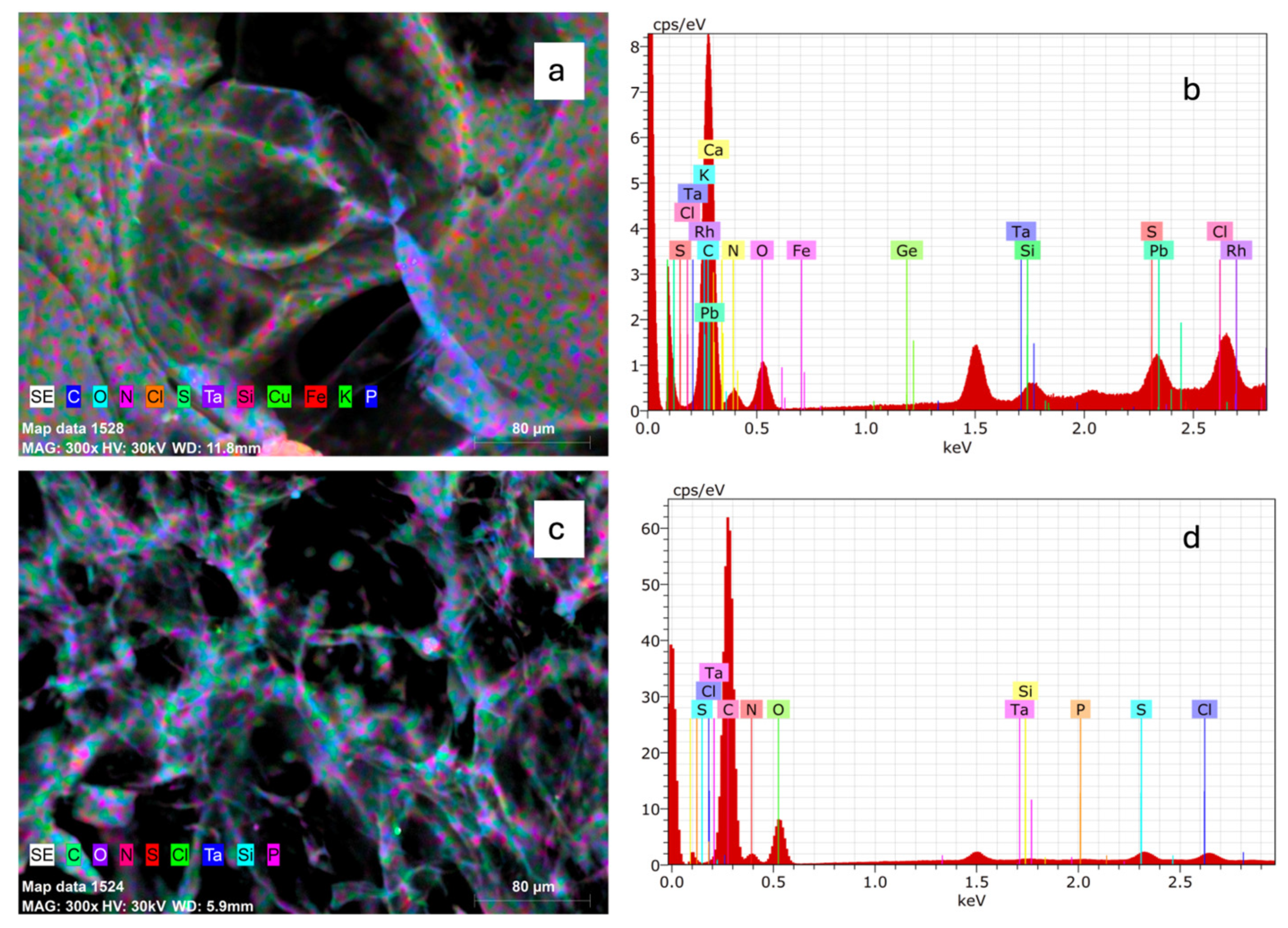 Marinedrugs 23 00432 g001