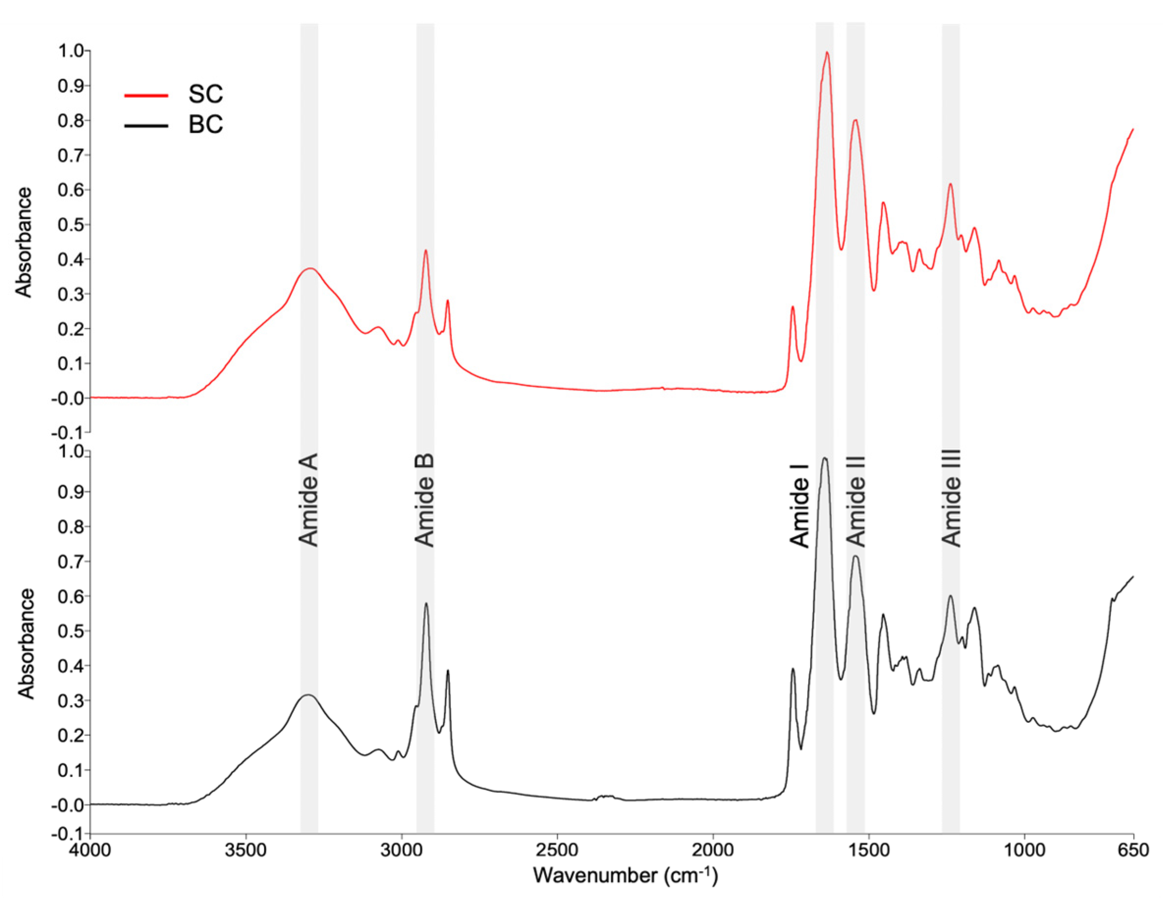 Marinedrugs 23 00432 g004
