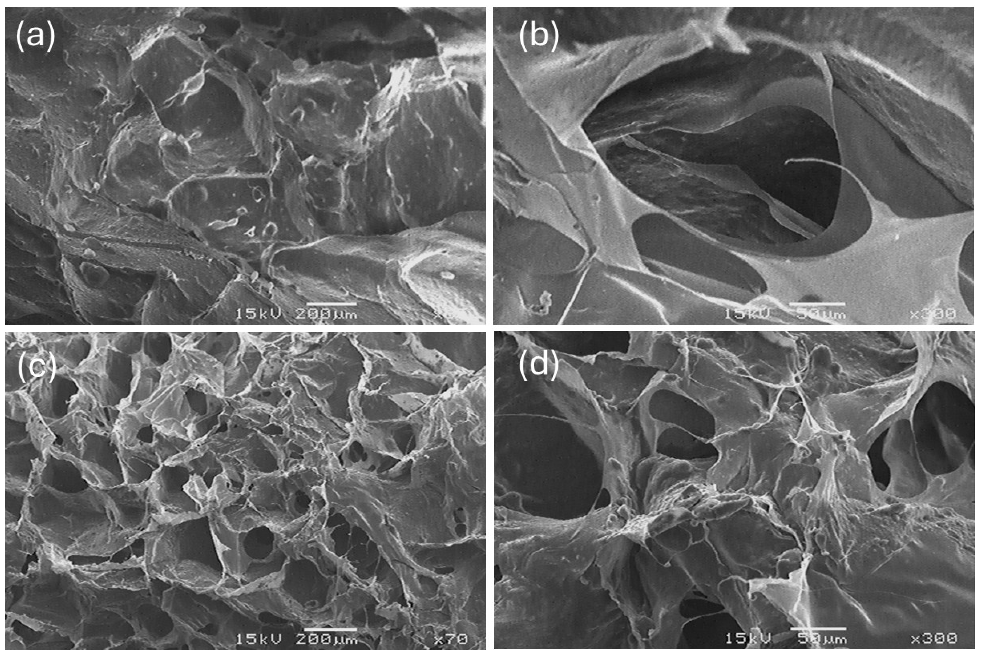 Marinedrugs 23 00432 g008