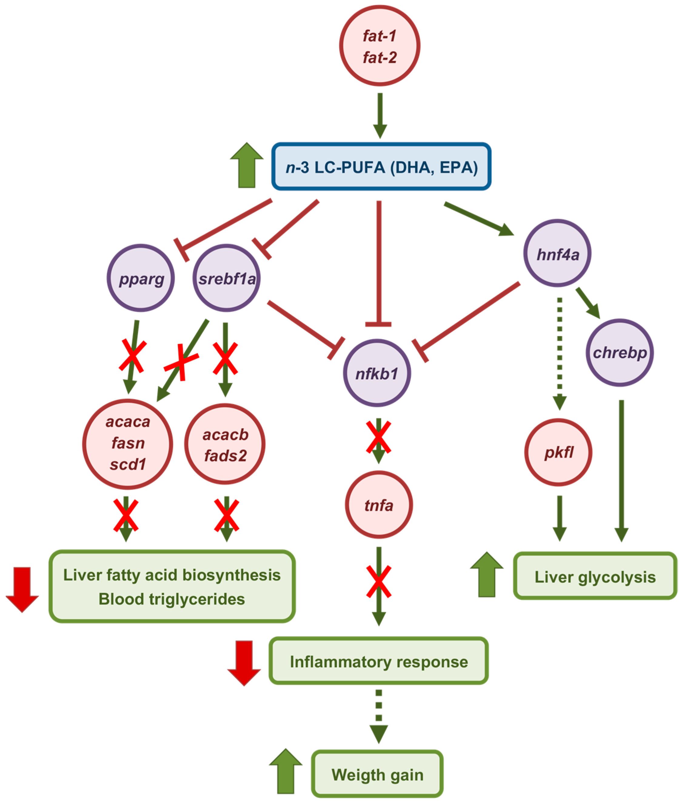 Marinedrugs 23 00434 g008