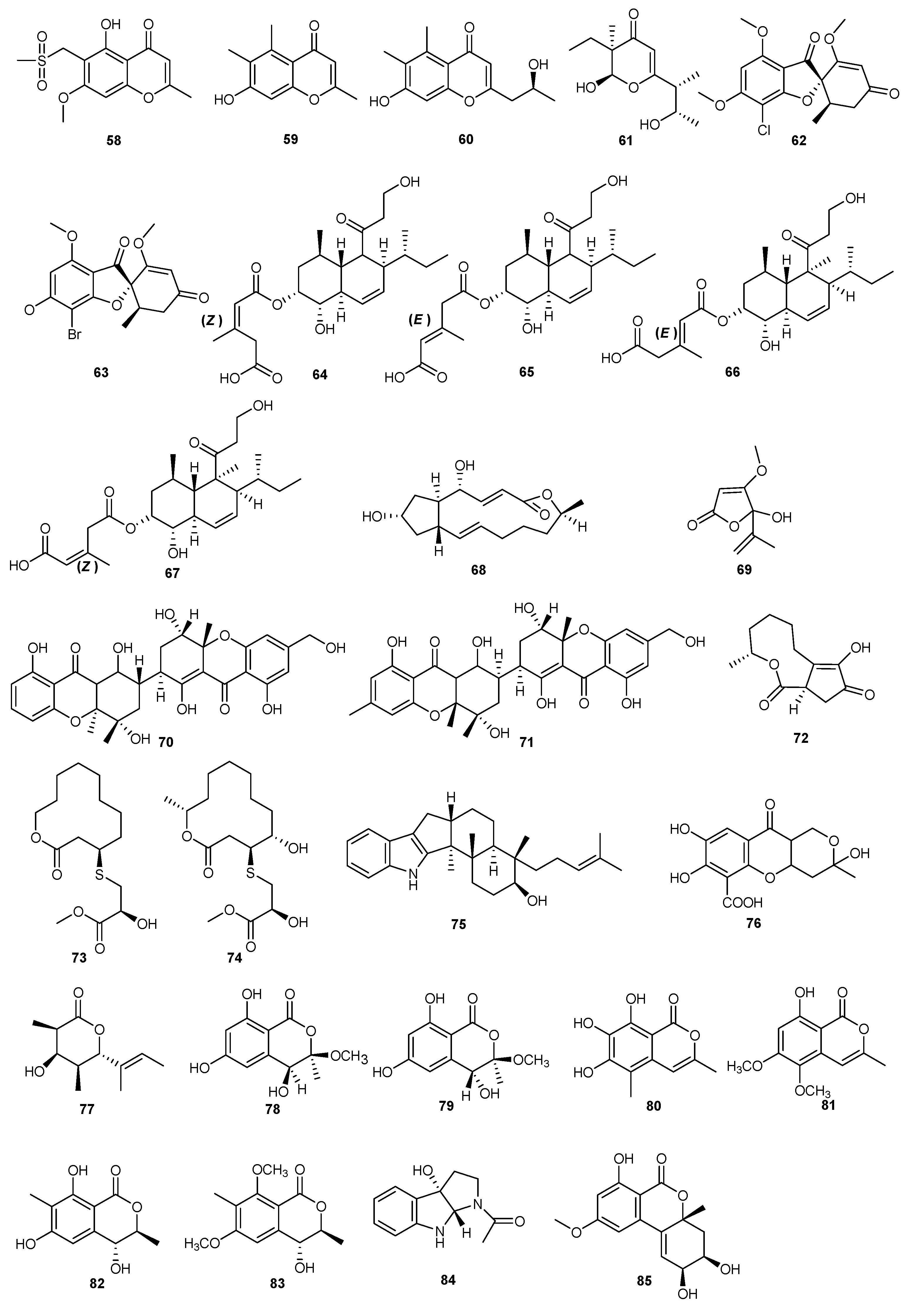 Marinedrugs 23 00438 g004 Marinedrugs 23 00438 g004