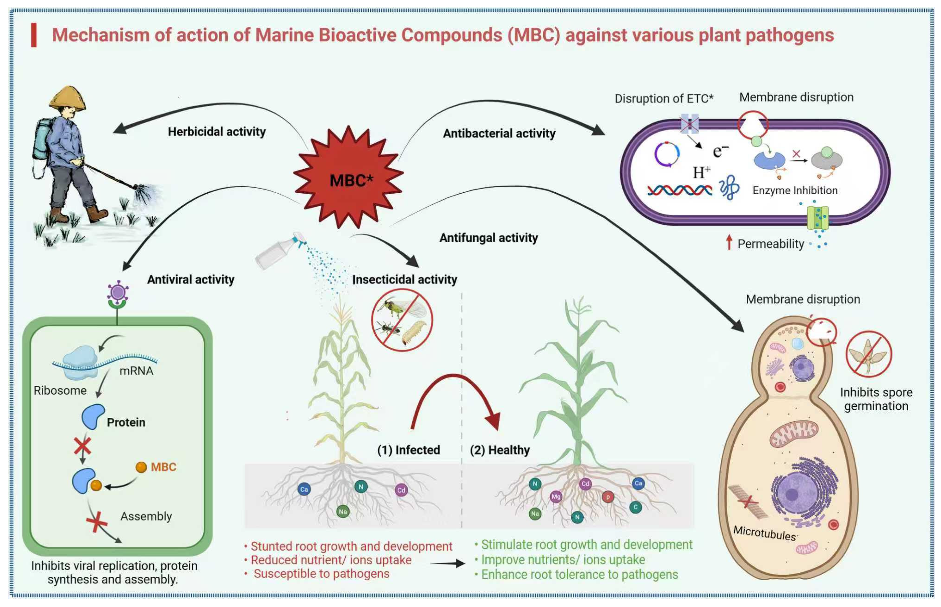 Marinedrugs 23 00438 g010 Marinedrugs 23 00438 g010