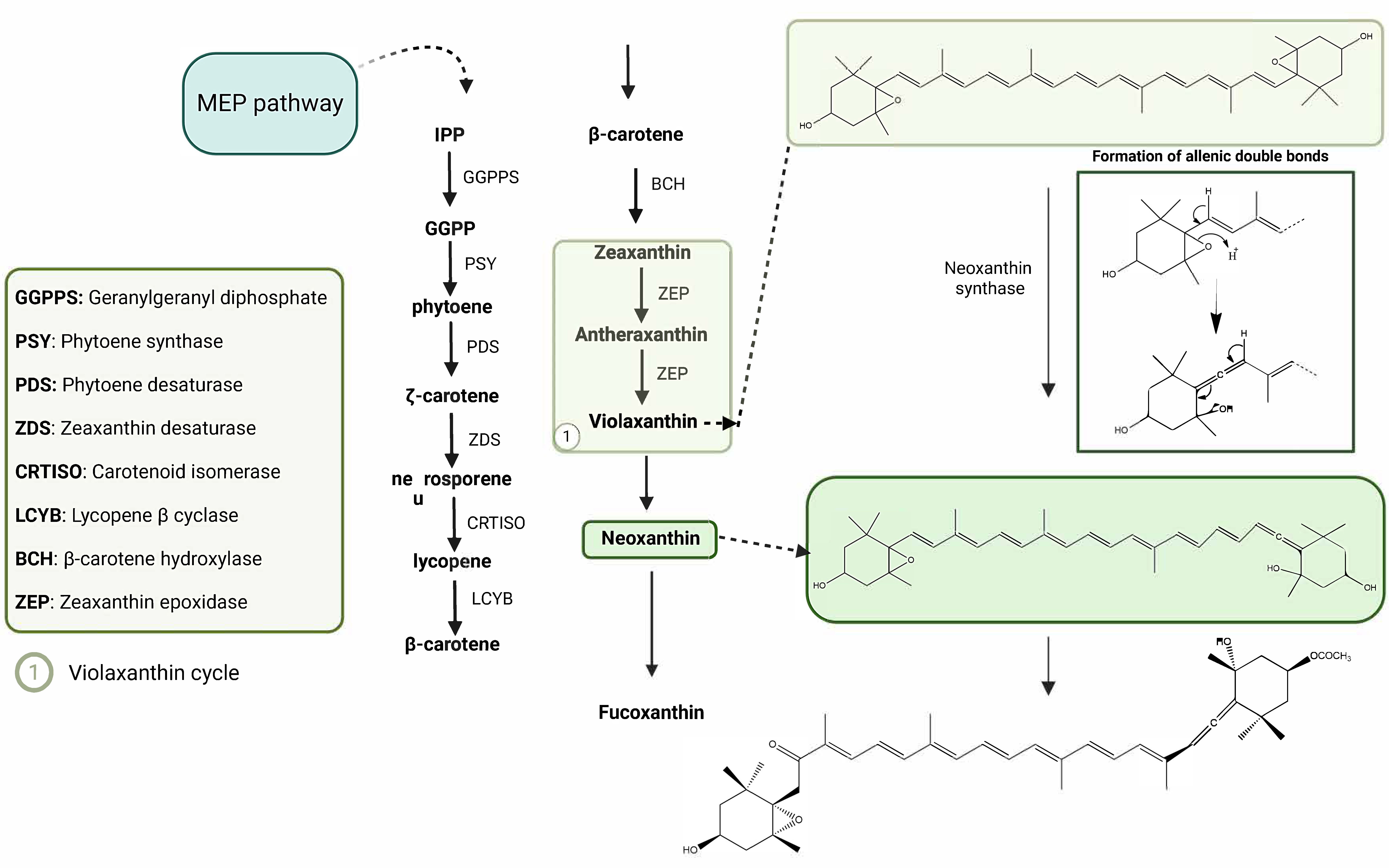 Marinedrugs 23 00440 g002