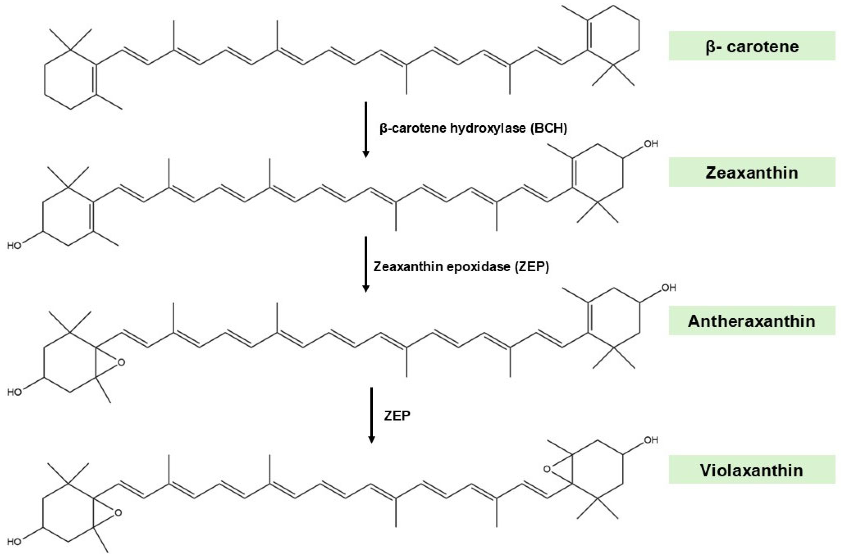Marinedrugs 23 00440 g003