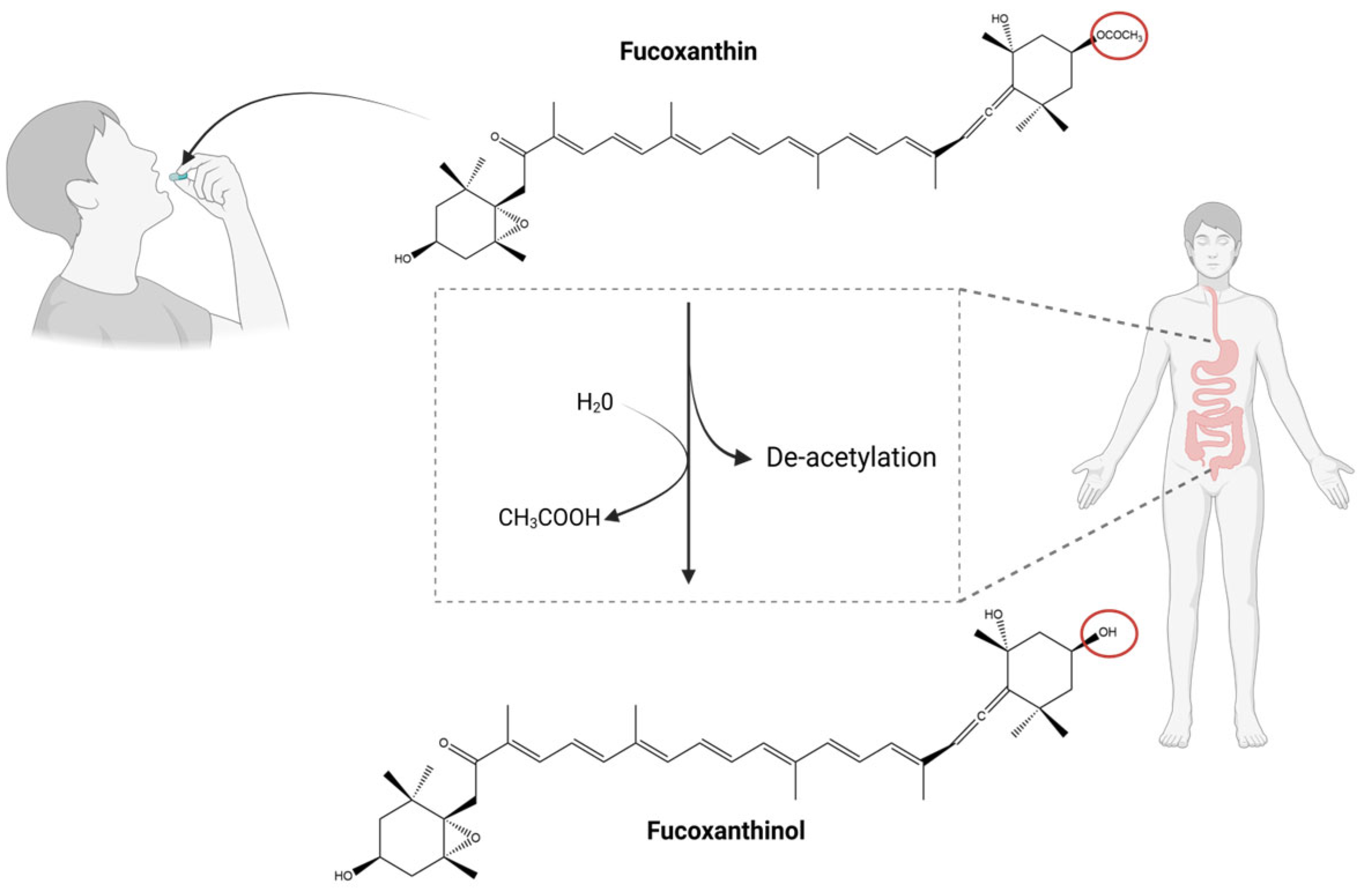 Marinedrugs 23 00440 g004
