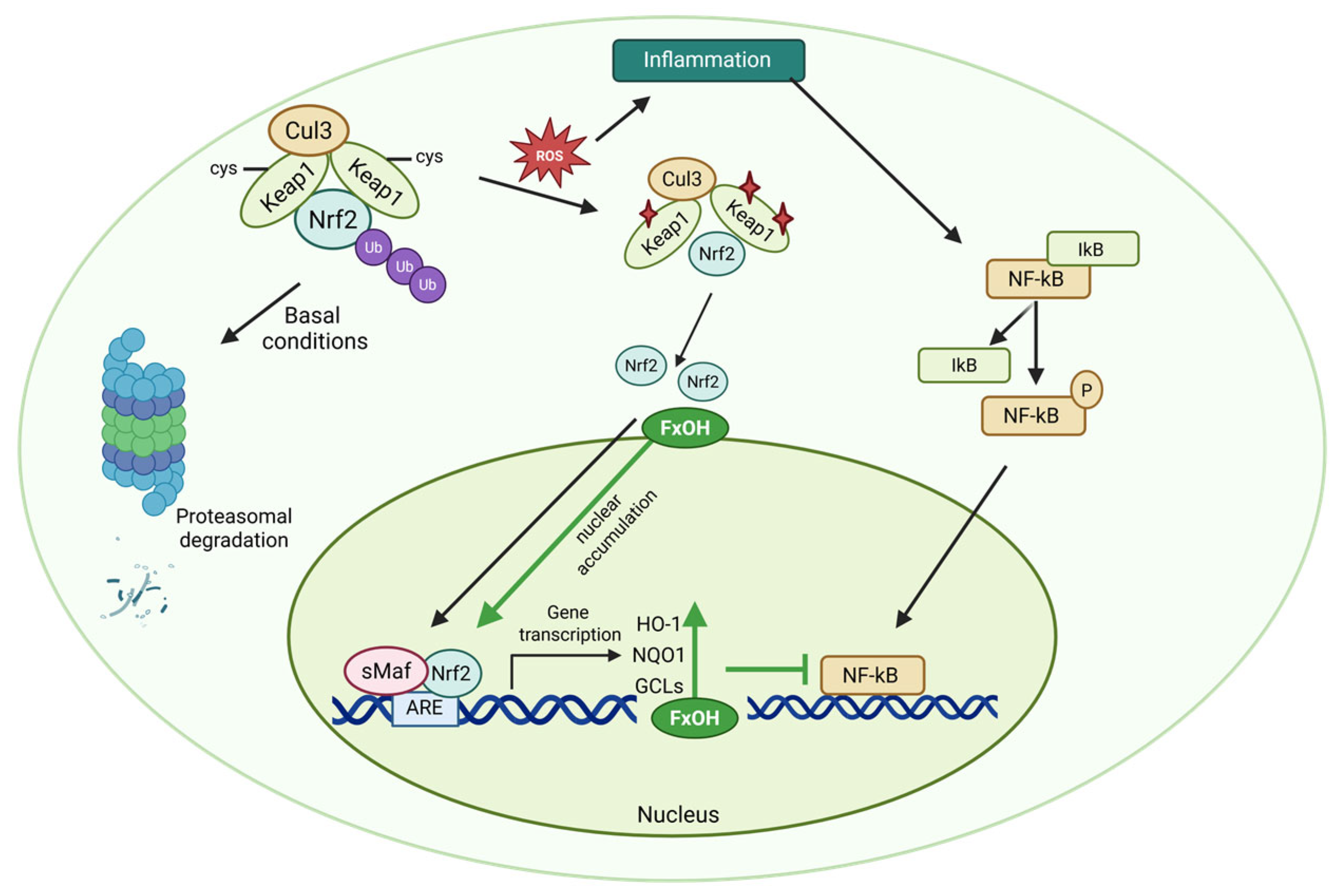 Marinedrugs 23 00440 g009
