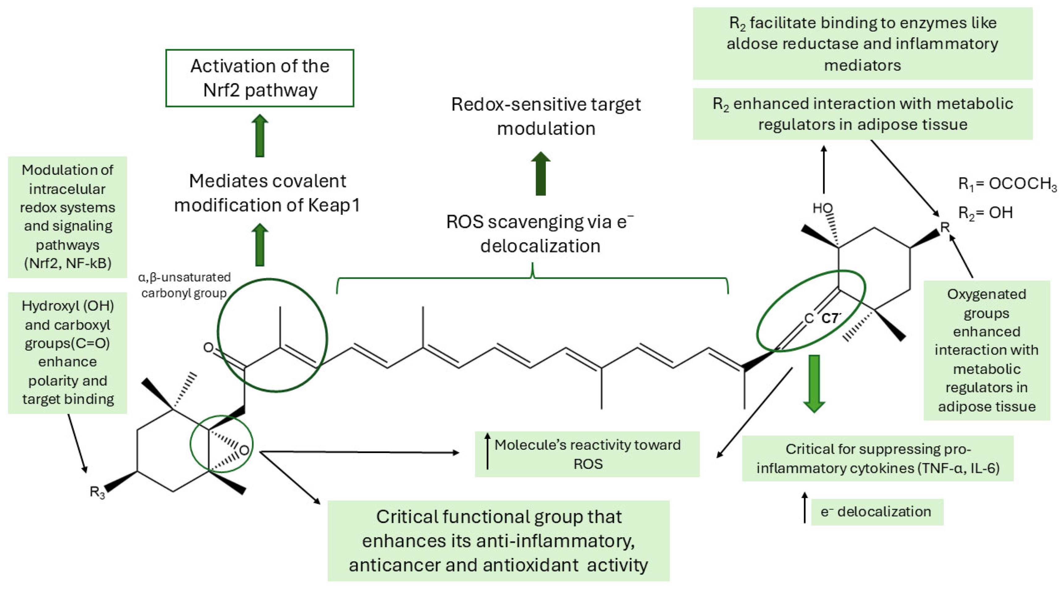 Marinedrugs 23 00440 g012