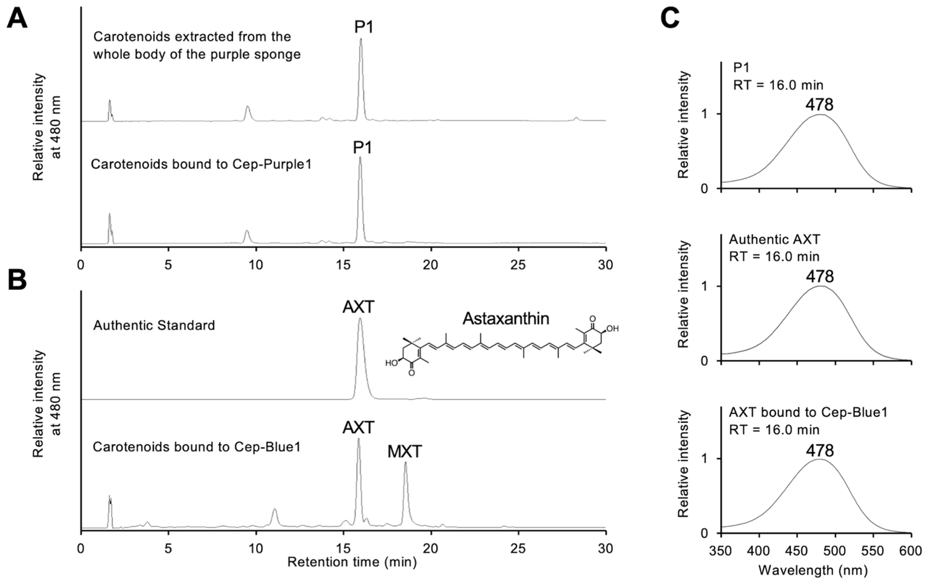 Marinedrugs 23 00441 g003 Marinedrugs 23 00441 g003