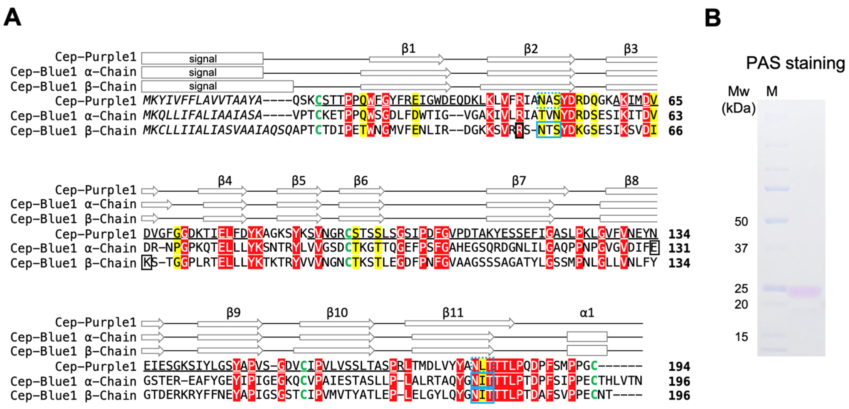 Marinedrugs 23 00441 g004 Marinedrugs 23 00441 g004