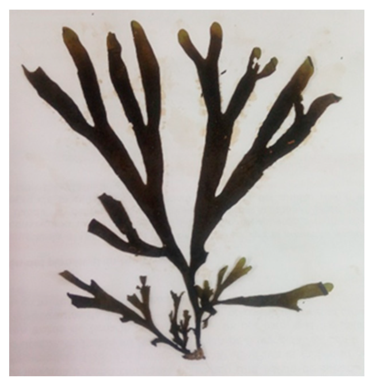 Marinedrugs 23 00442 g001