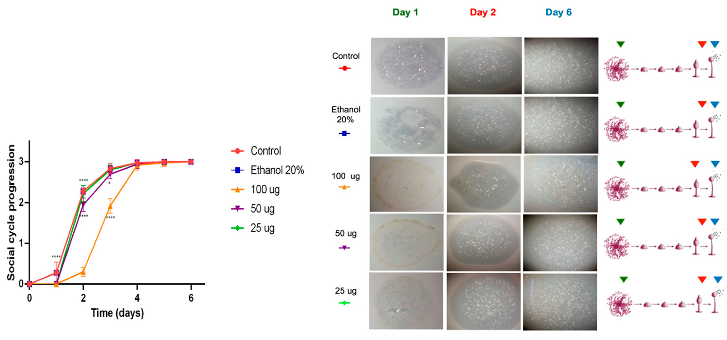 Marinedrugs 23 00442 g004