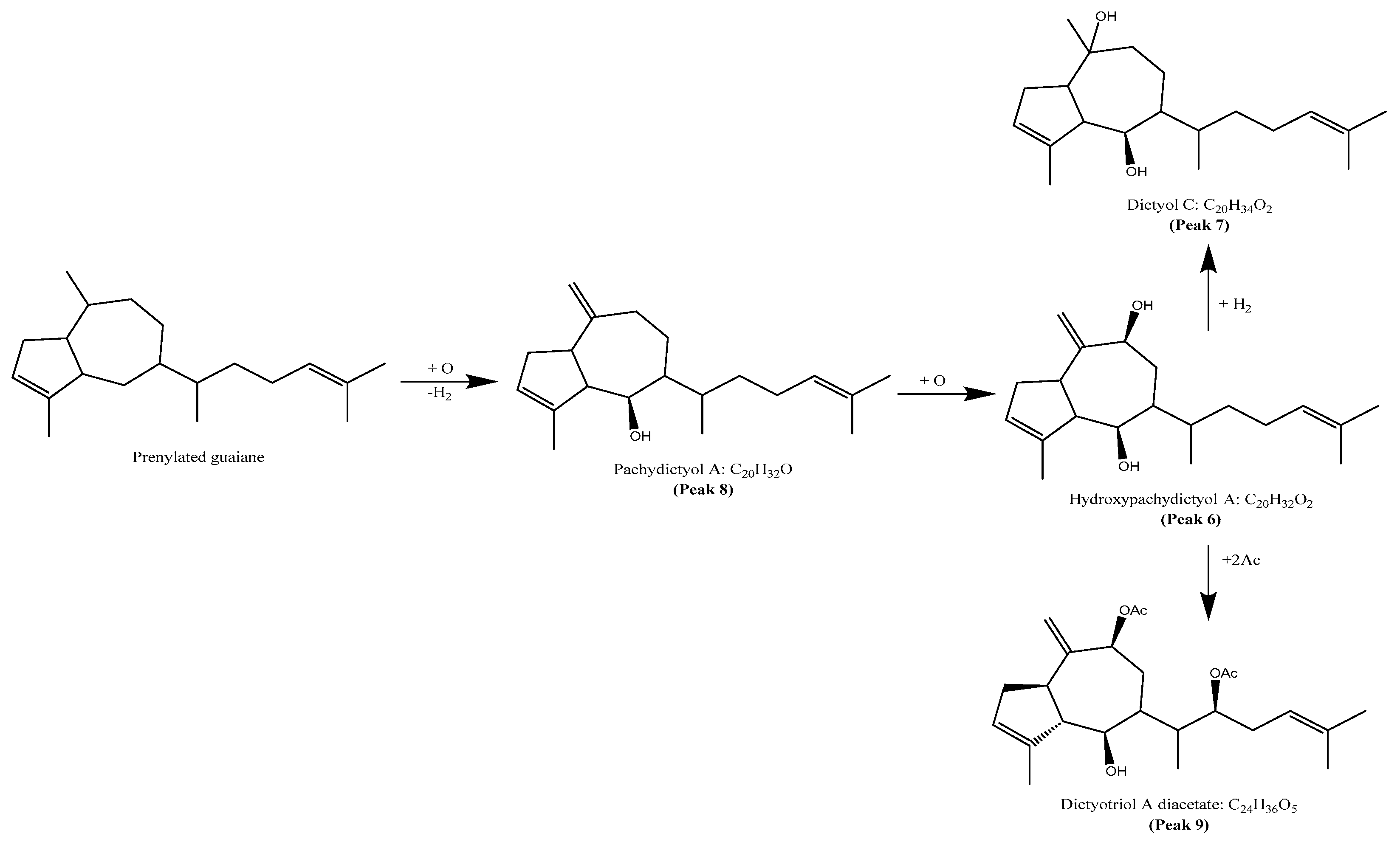 Marinedrugs 23 00442 g005