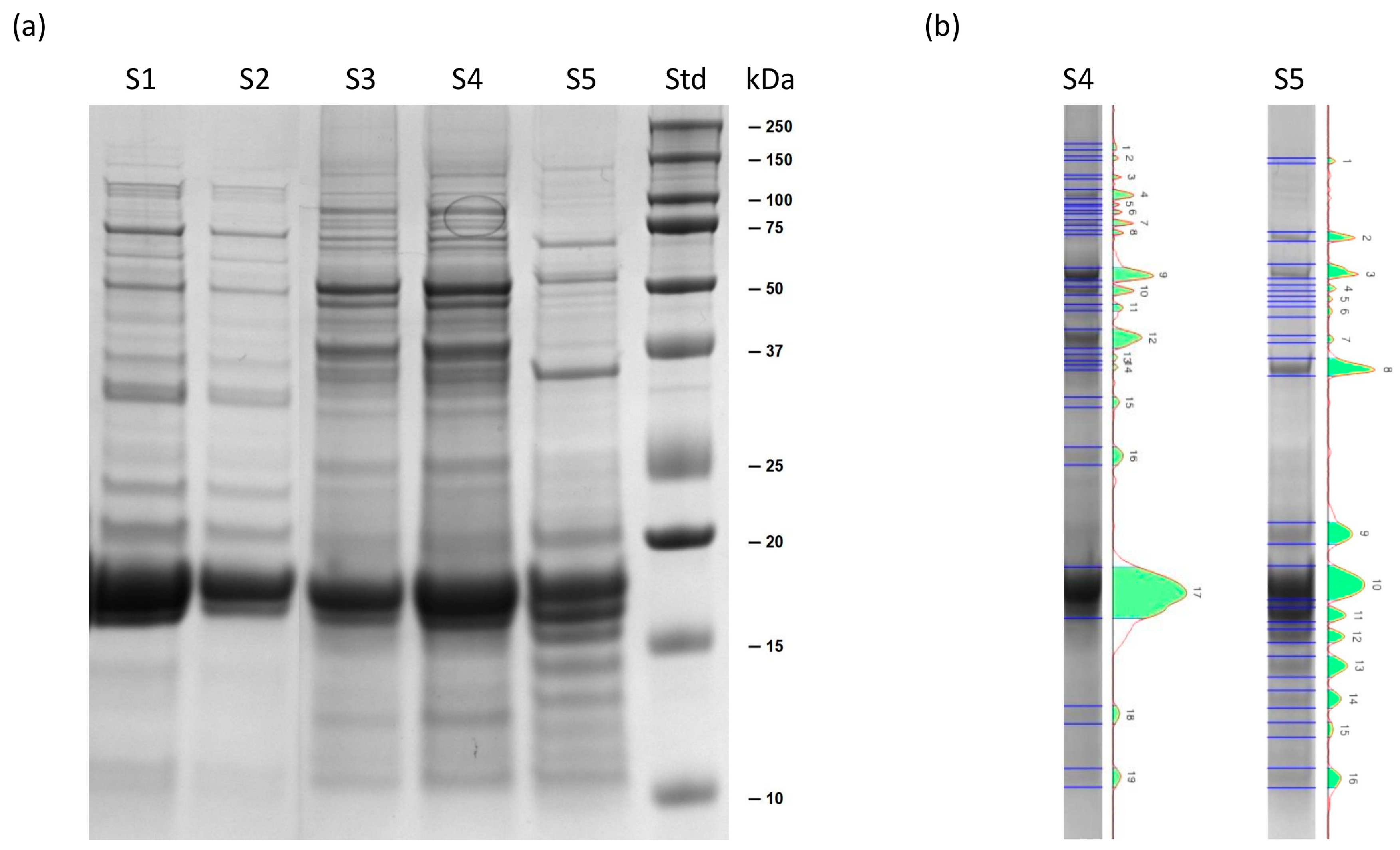 Marinedrugs 23 00443 g001