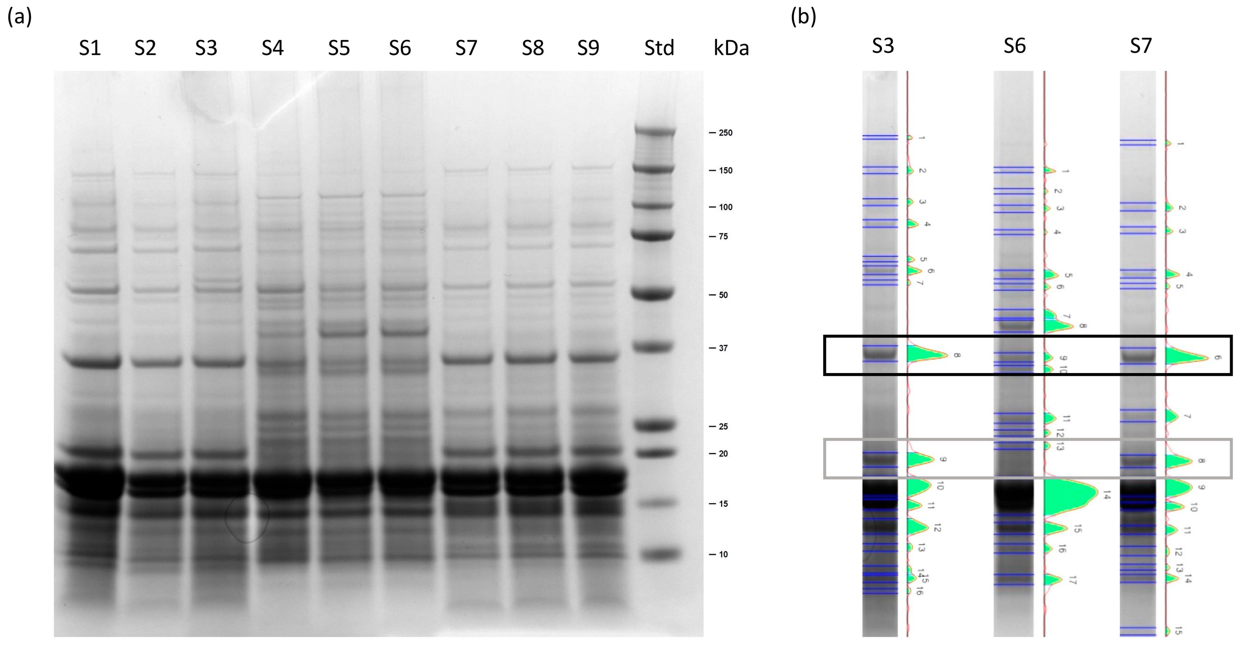 Marinedrugs 23 00443 g002