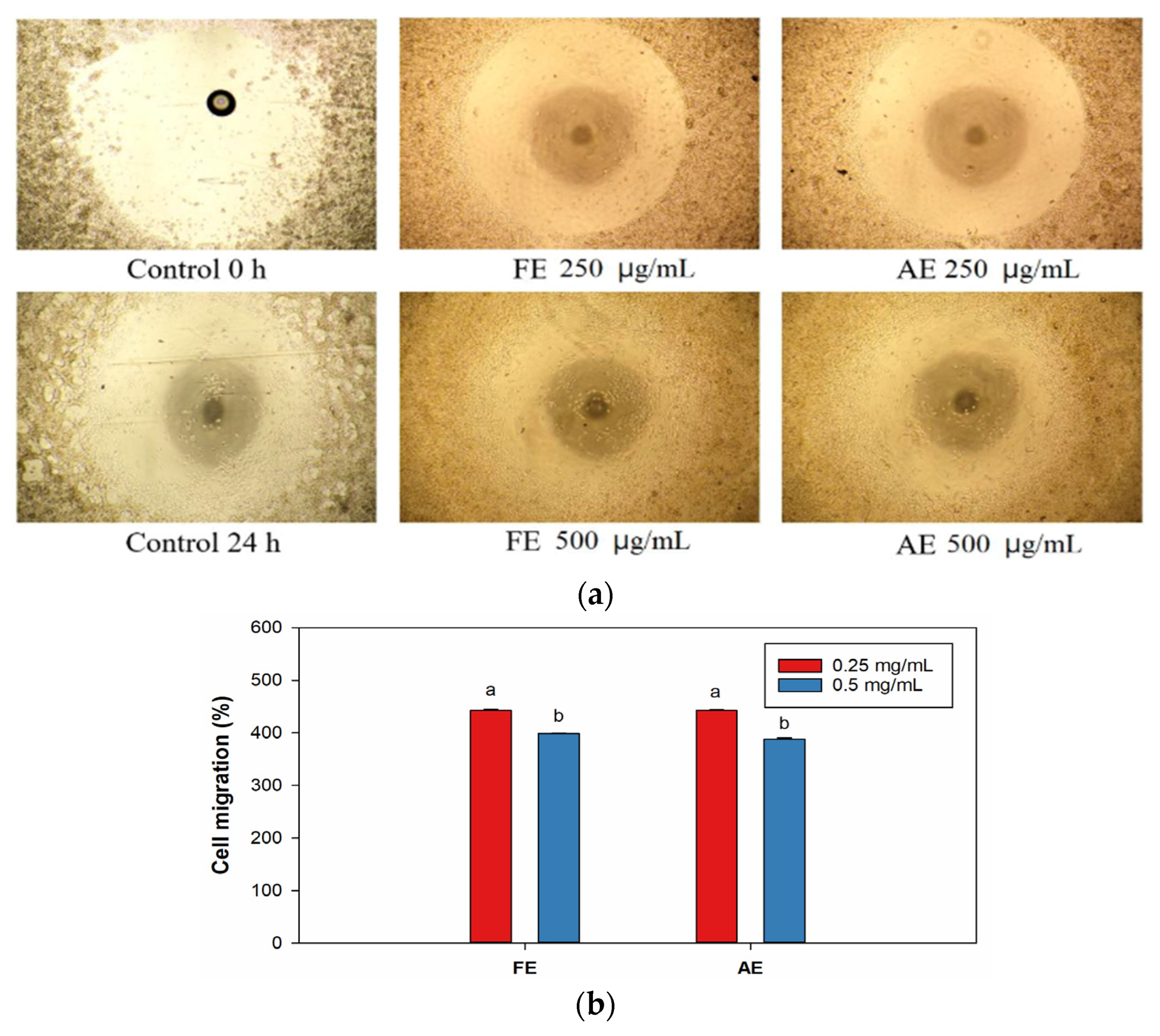Marinedrugs 23 00444 g006 Marinedrugs 23 00444 g006