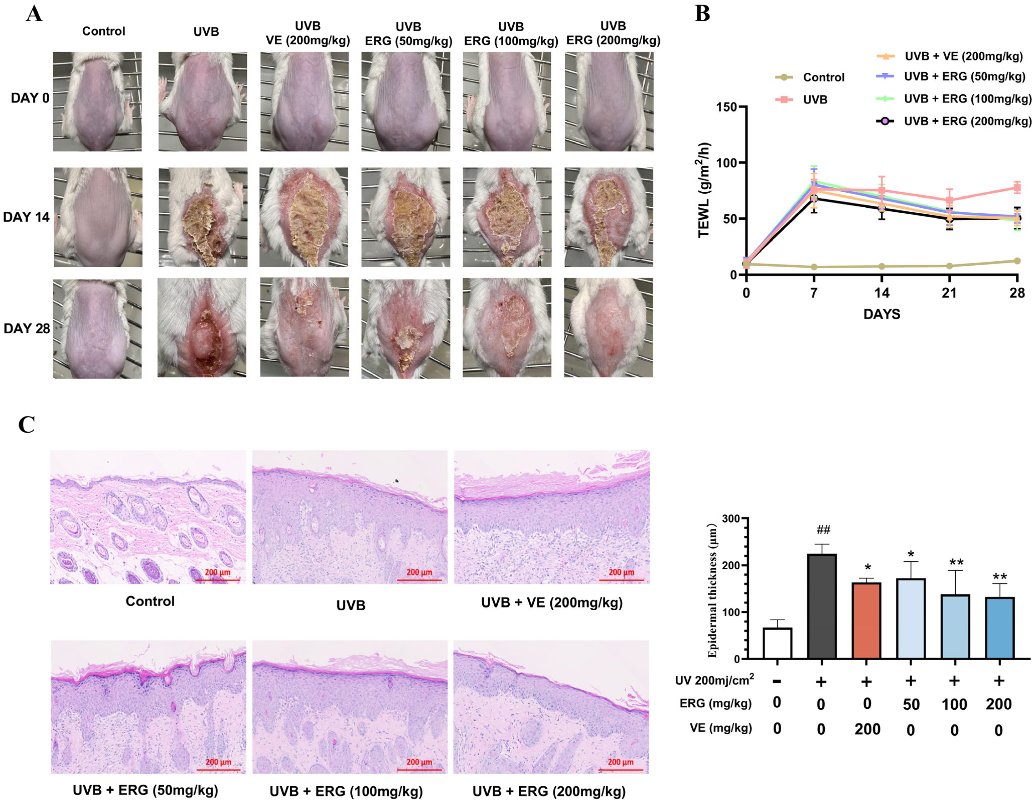 Marinedrugs 23 00445 g004