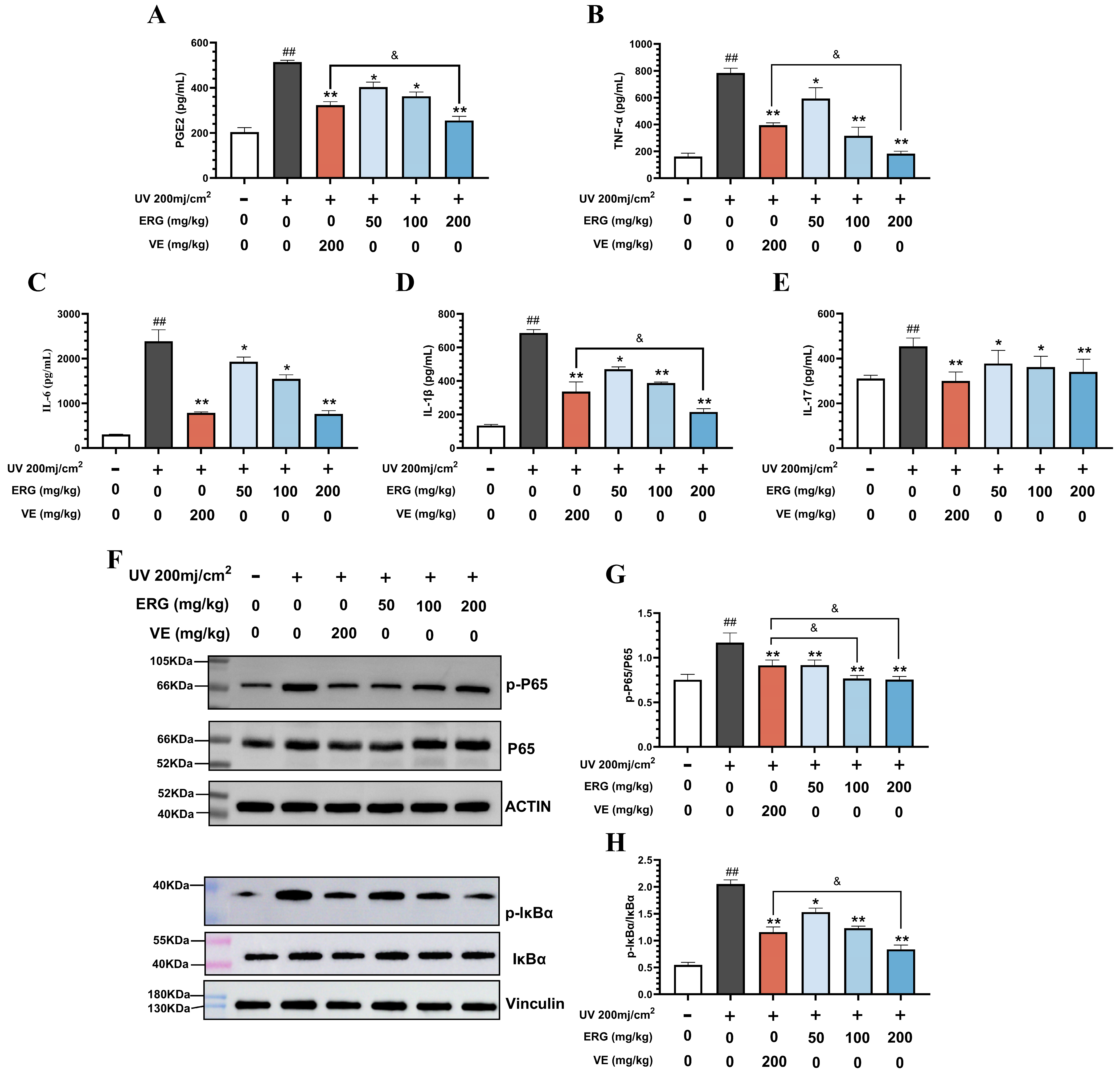 Marinedrugs 23 00445 g006