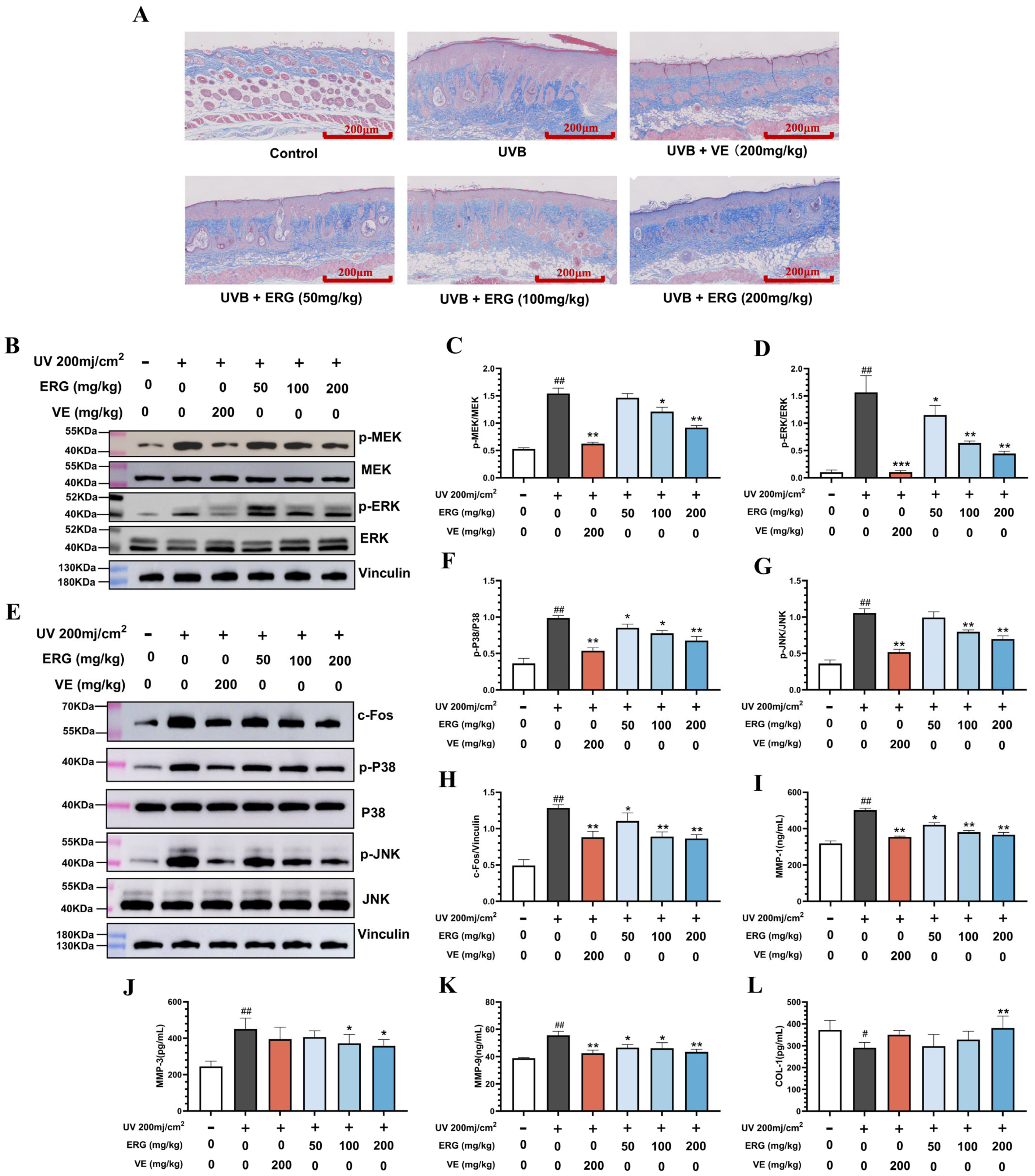 Marinedrugs 23 00445 g007