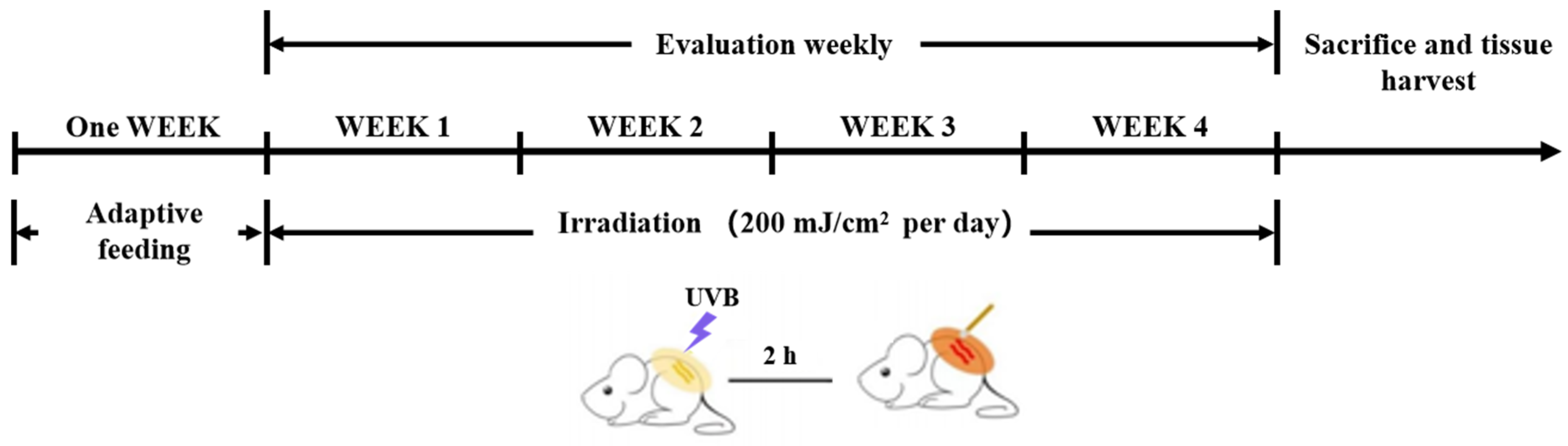 Marinedrugs 23 00445 sch001